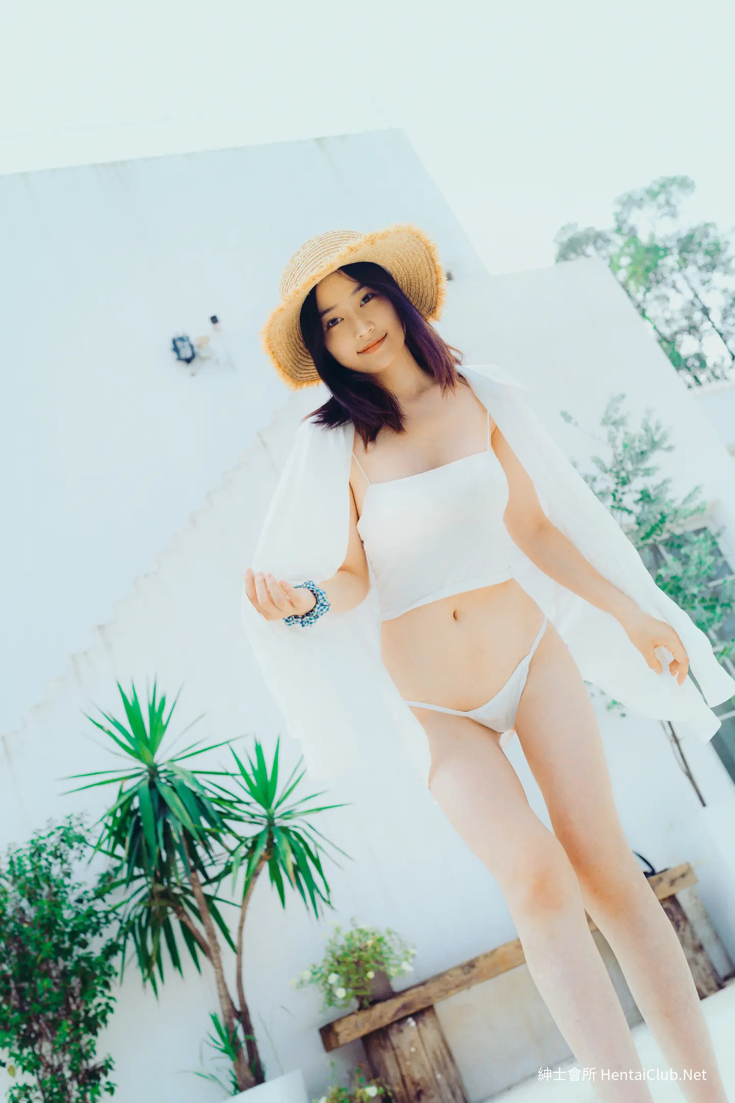 年年 夏至 12 年年 夏至