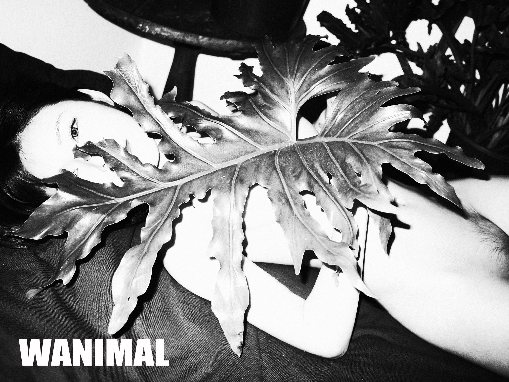 [WANIMAL王动] VIP套图 官方出品 No.01