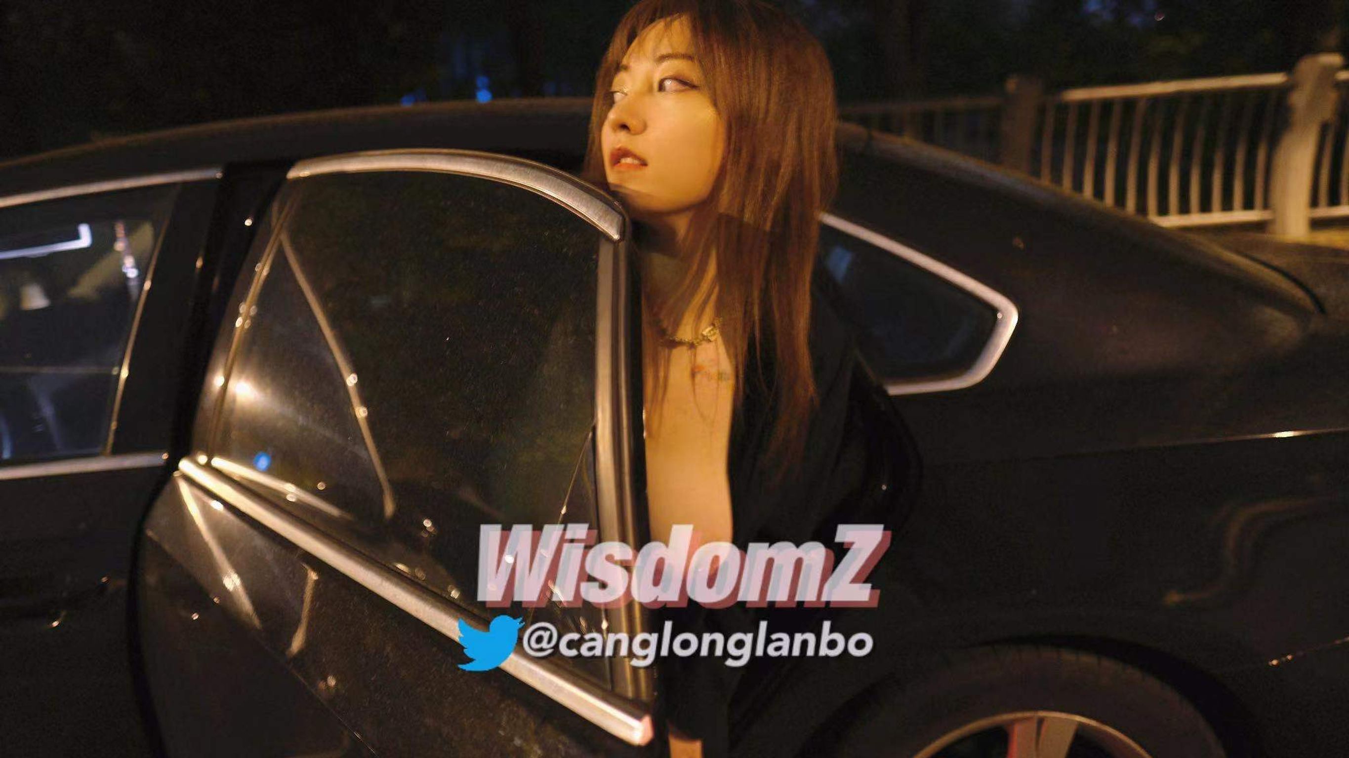 酒月： 极品巨乳 人前露出私拍