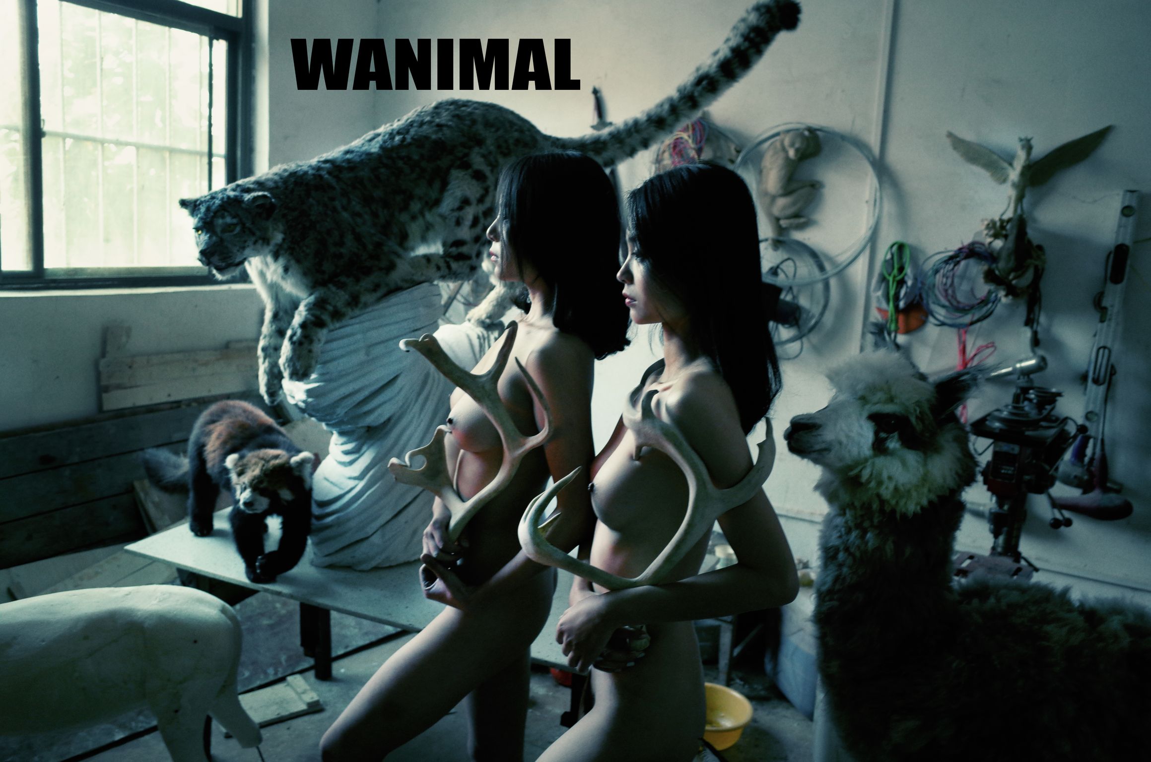 [WANIMAL王动] VIP套图 官方出品 No.05