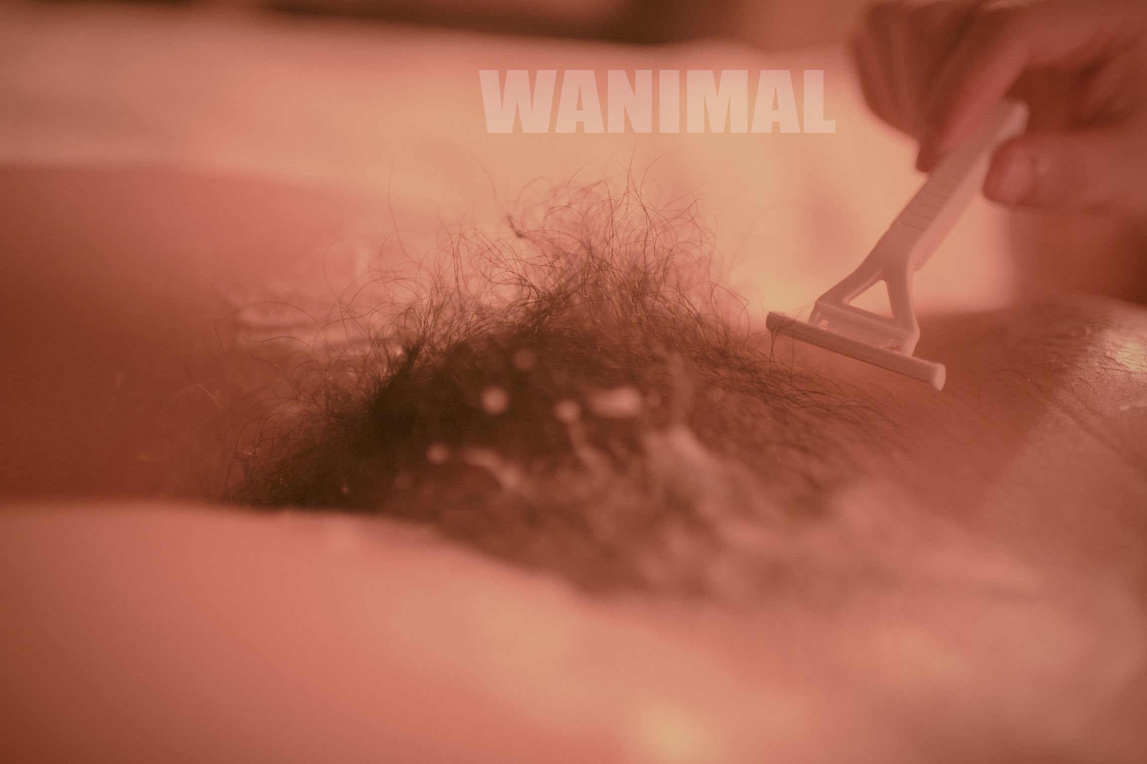 [WANIMAL王动] VIP套图 官方出品 No.03