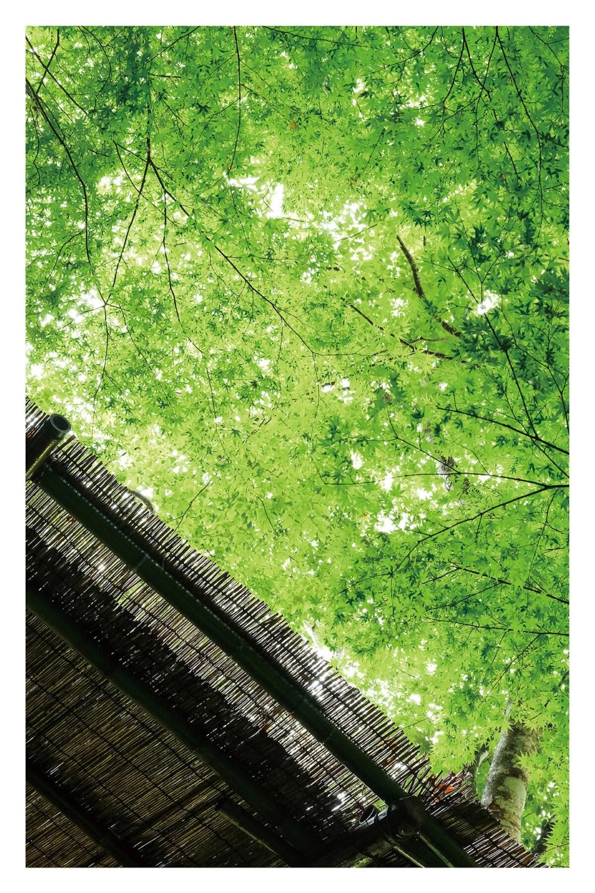 Shiori Tokunaga 徳永しおり - Travel Guide 旅のしおり