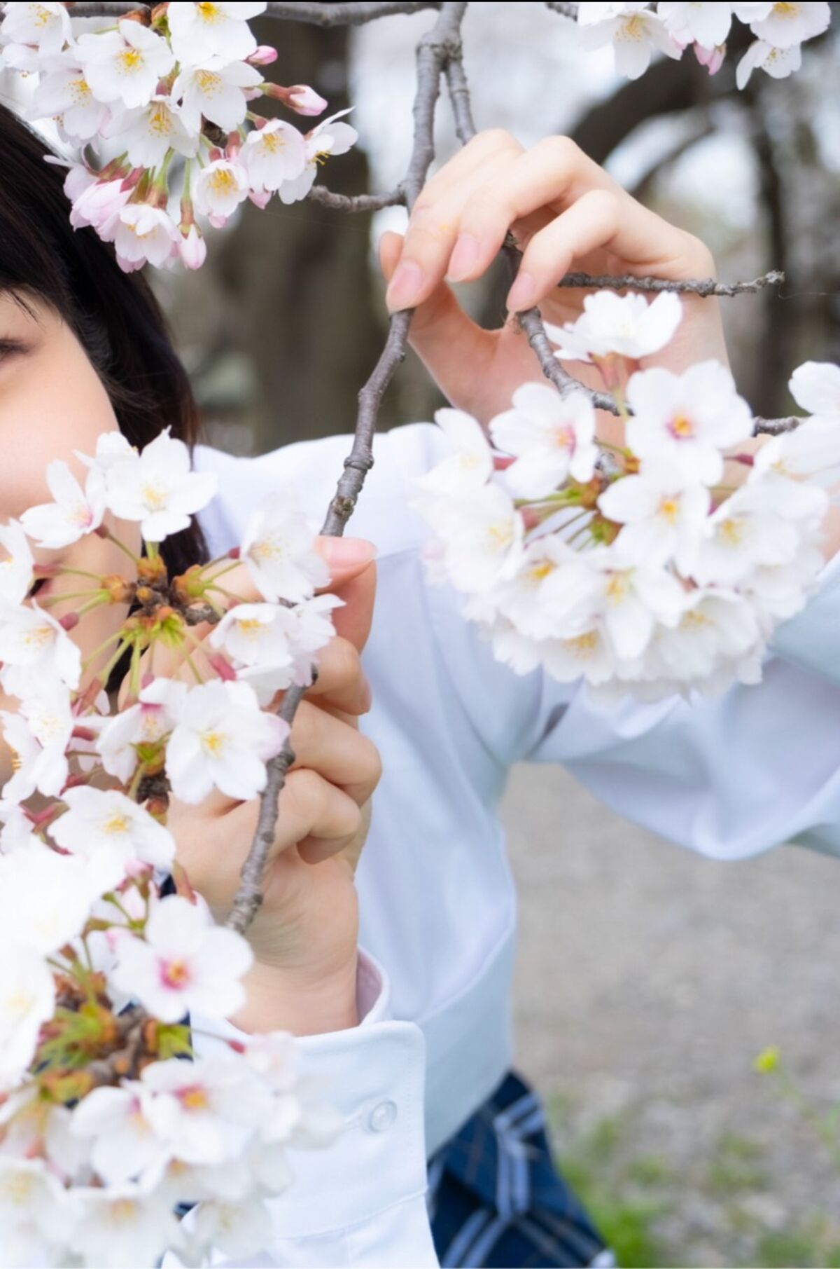 Sumire Kuramoto 倉本すみれ - Youth Aoharu 青春アオハル