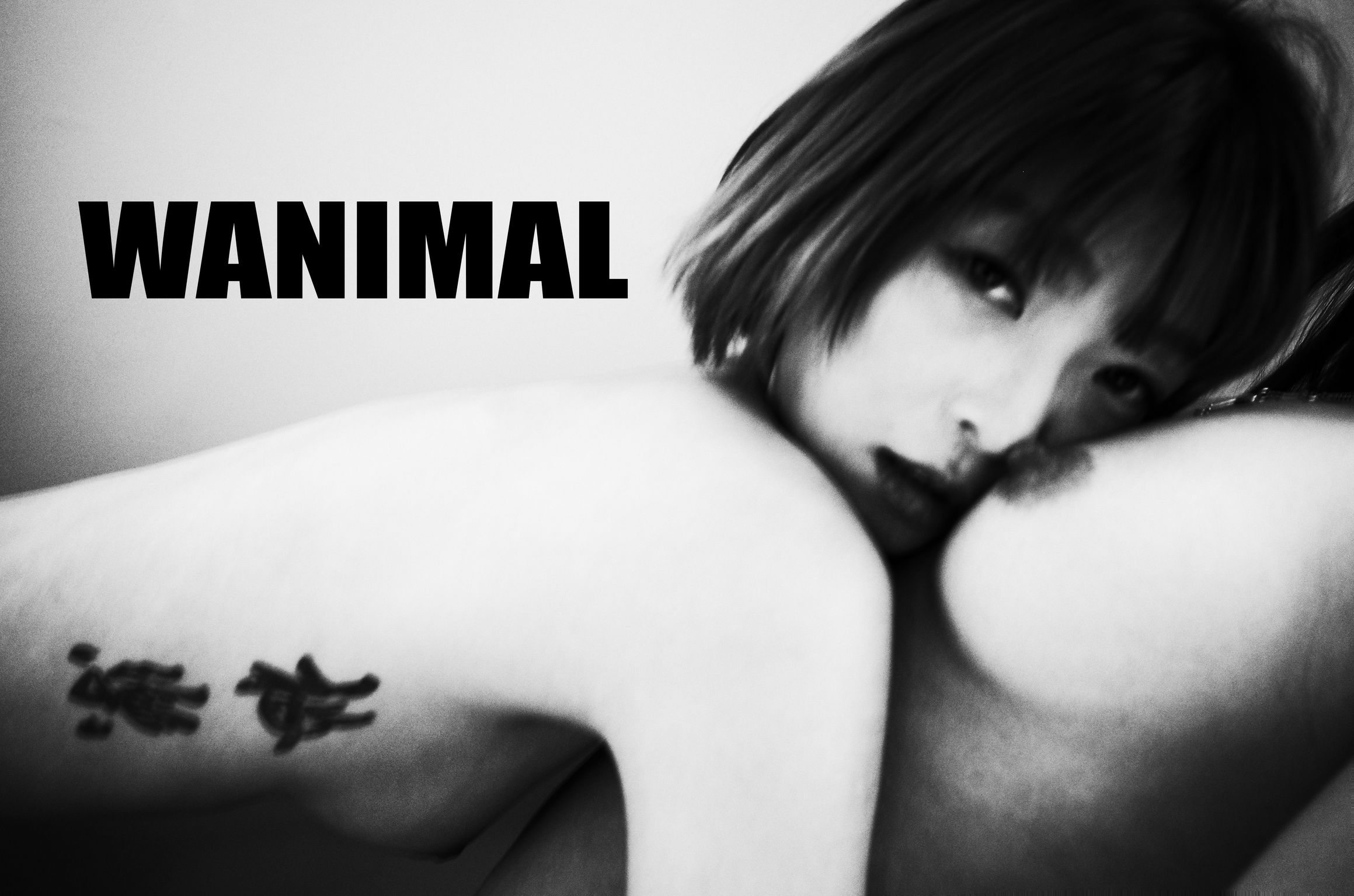 [WANIMAL王动] VIP套图 官方出品 No.06