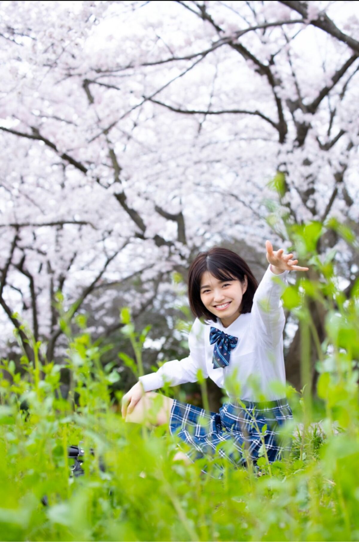 Sumire Kuramoto 倉本すみれ - Youth Aoharu 青春アオハル