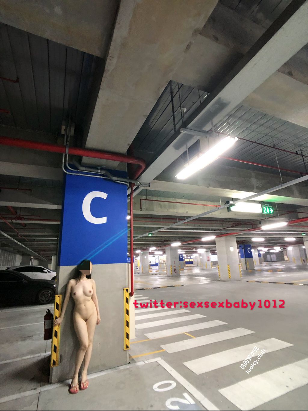[OtherXXX] 薇安安： 极品福利姬 人前露出福利订阅