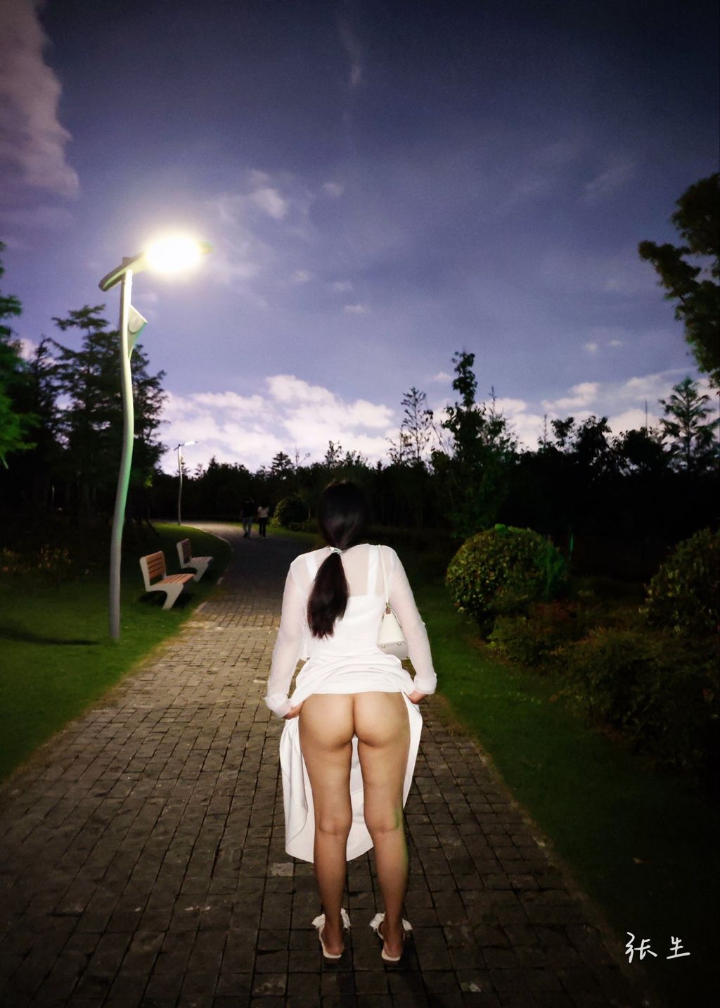 [OtherXXX] 张生： 淫妻大神分享娇妻 塞着跳蛋逛公园