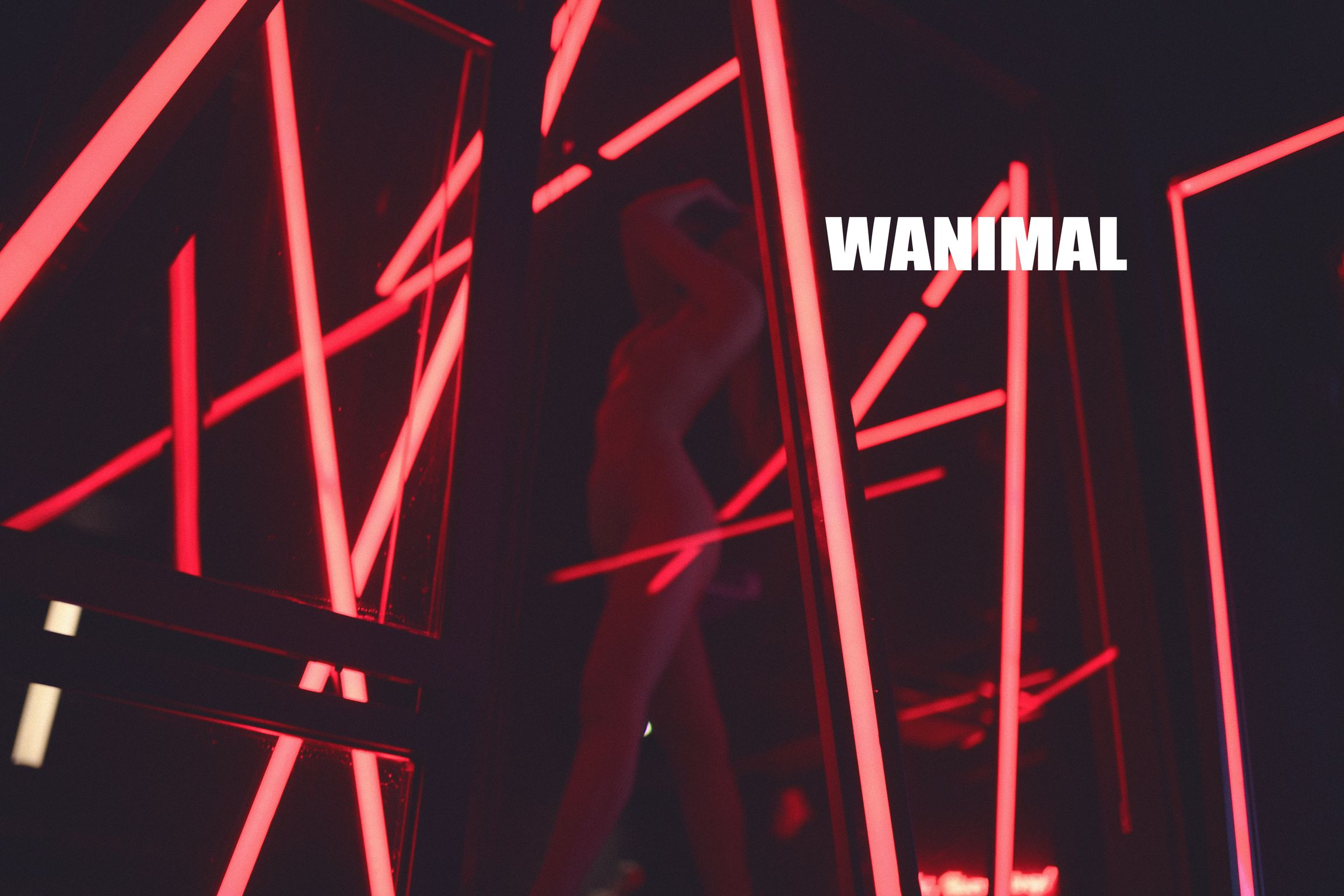 [WANIMAL王动] VIP套图 官方出品 No.02