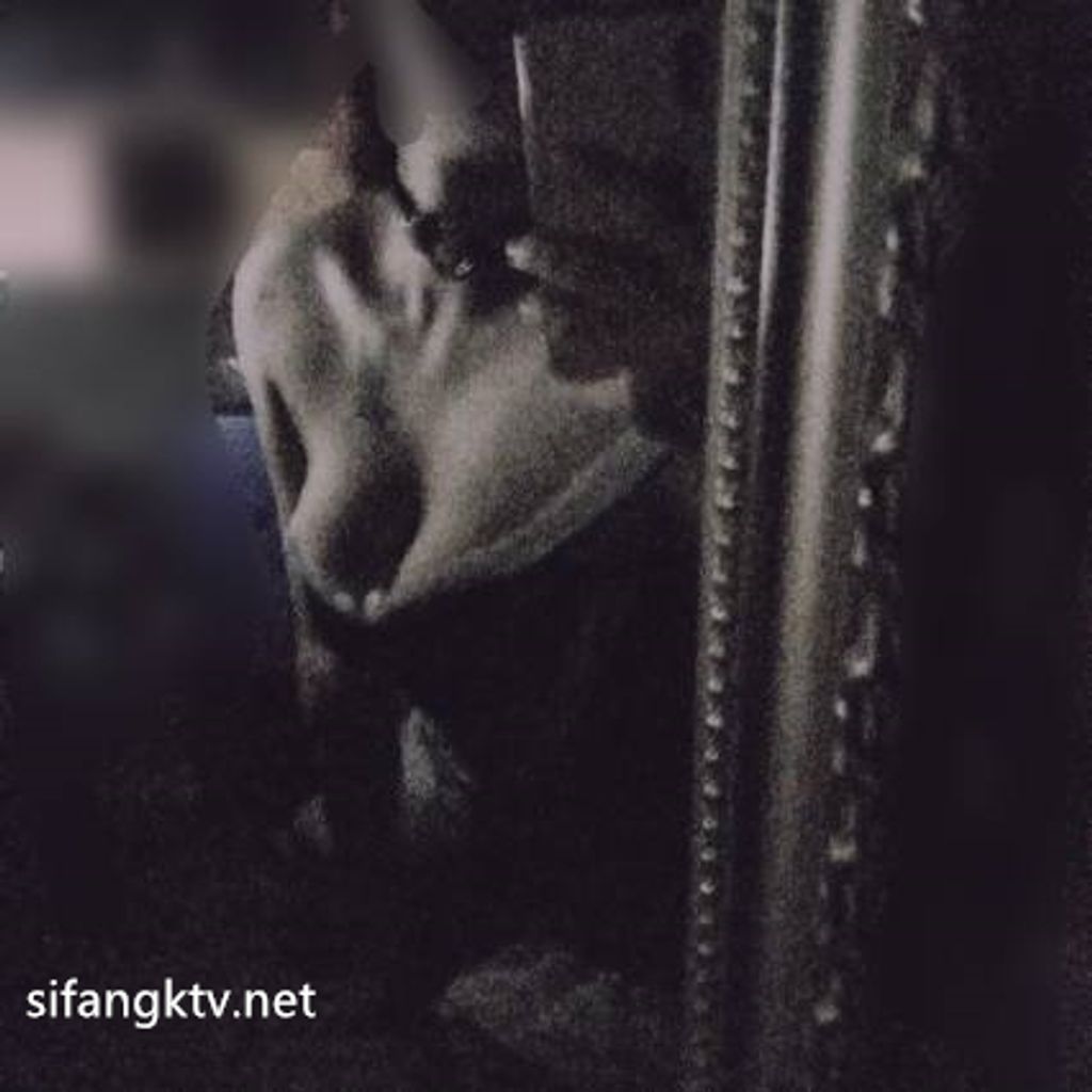 [OtherXXX] Mico板烧鸭鸭： X高价福利视频写真