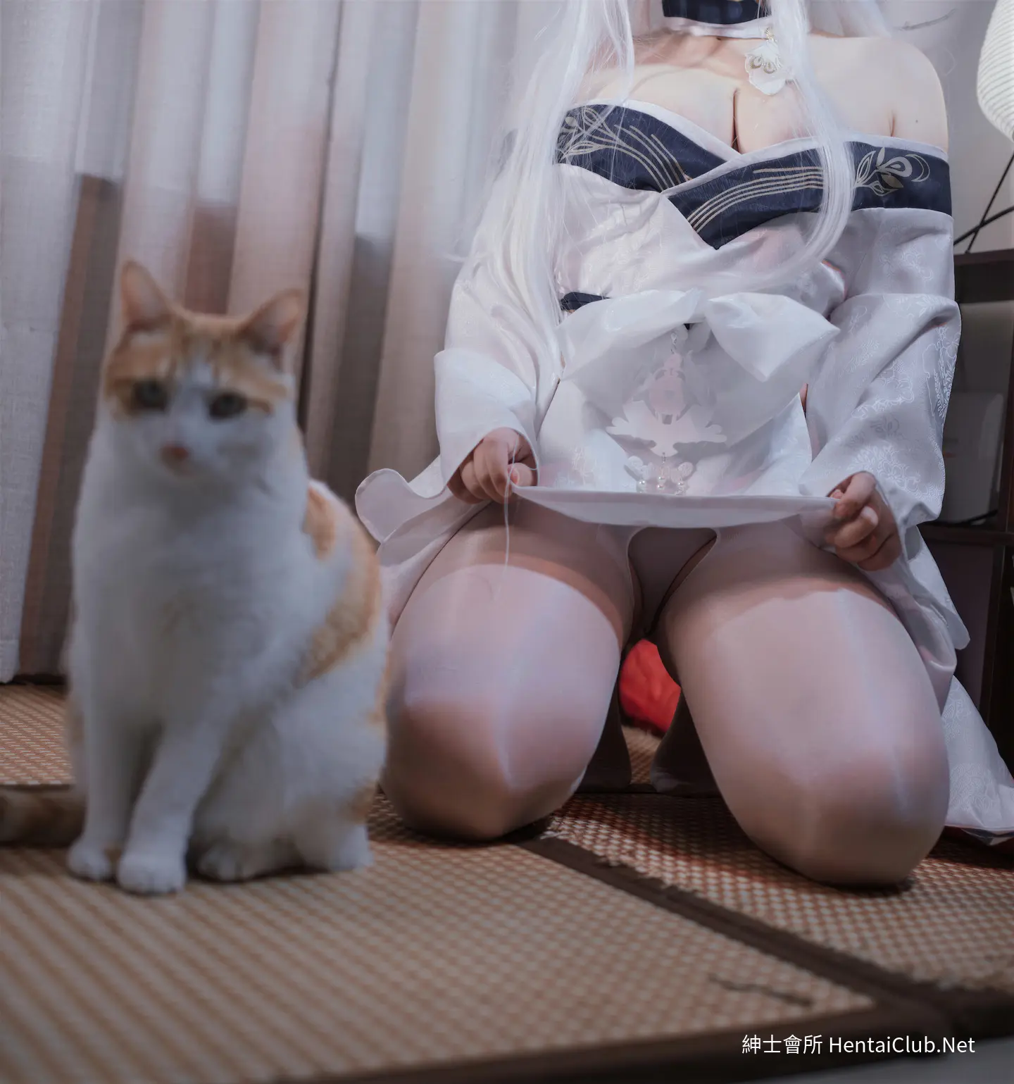阿半今天很开心 碧蓝航线 白凤 和服 22 阿半今天很开心 碧蓝航线 白凤 和服