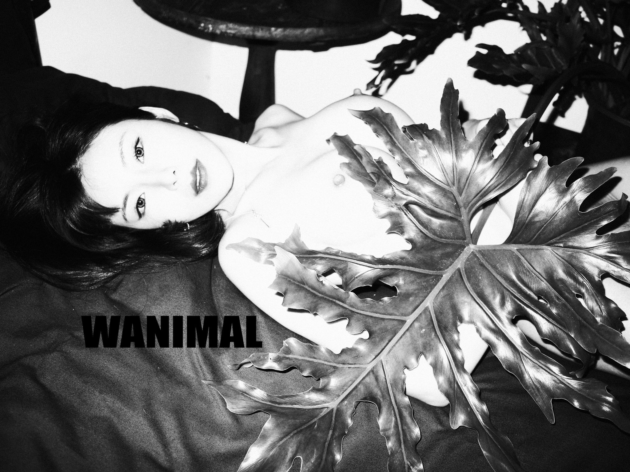 [WANIMAL王动] VIP套图 官方出品 No.01