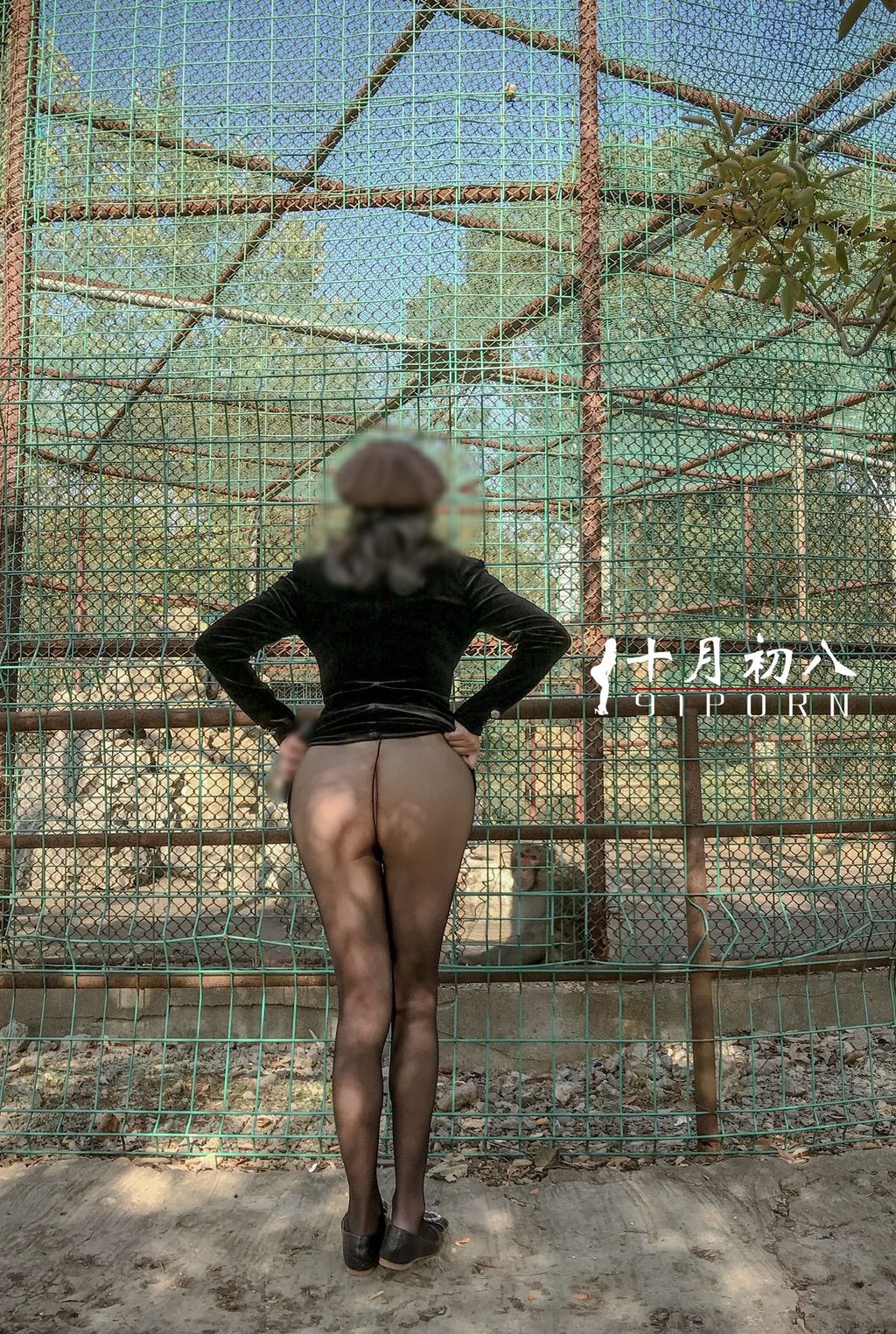 十月初八： 人前露出私拍合集