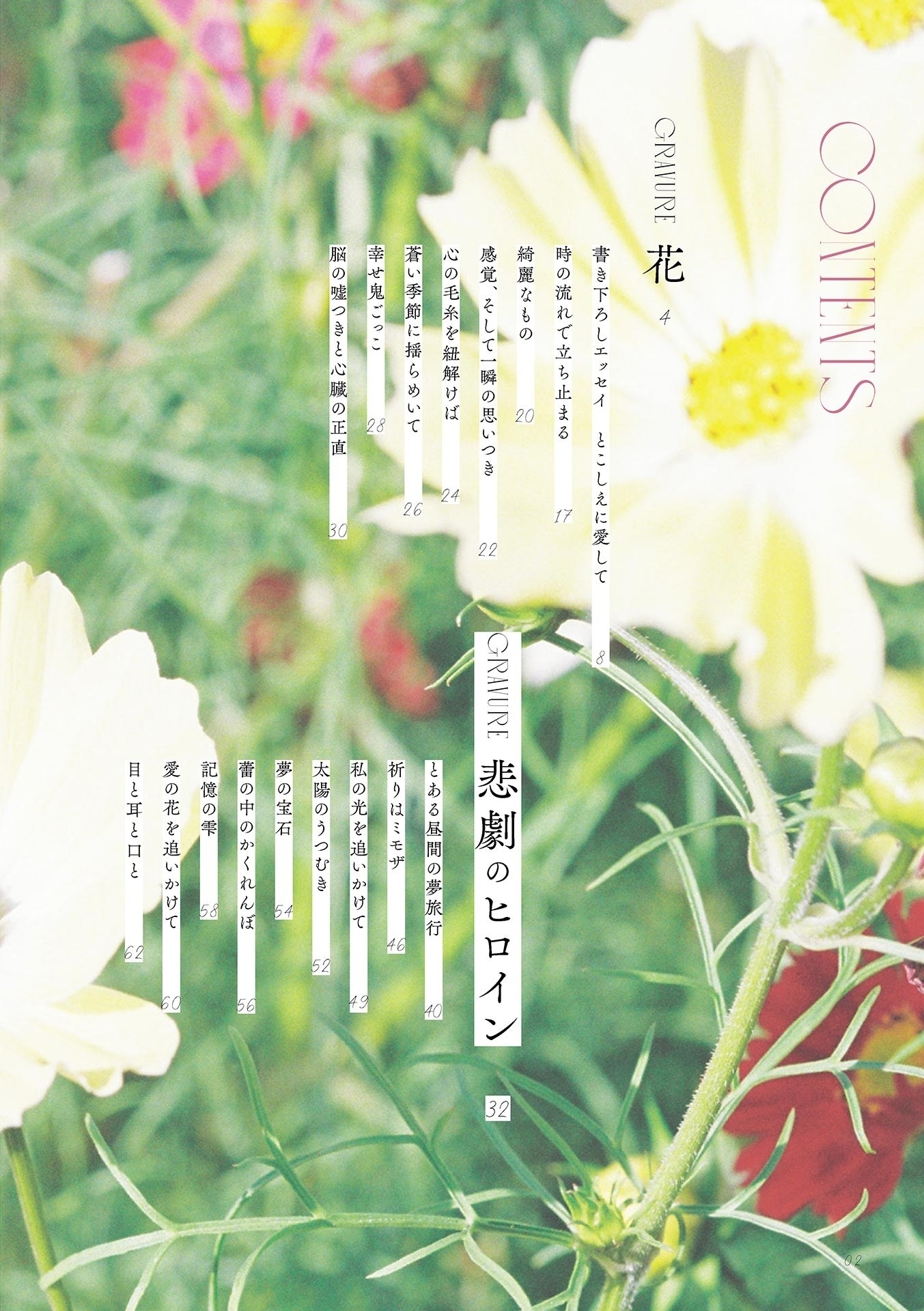 [Photobook] 鶴嶋乃愛 1stフォトエッセイ 微睡む花の様に