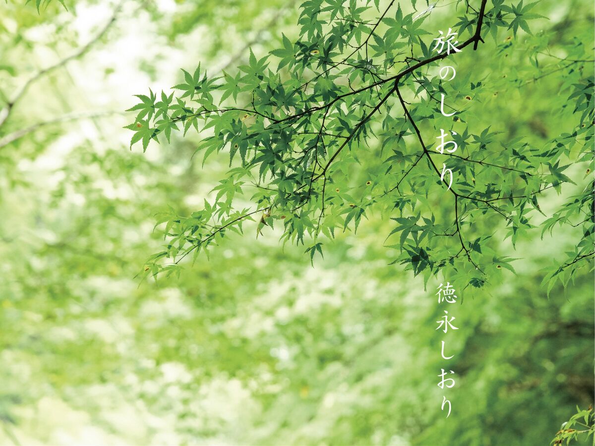 Shiori Tokunaga 徳永しおり - Travel Guide 旅のしおり