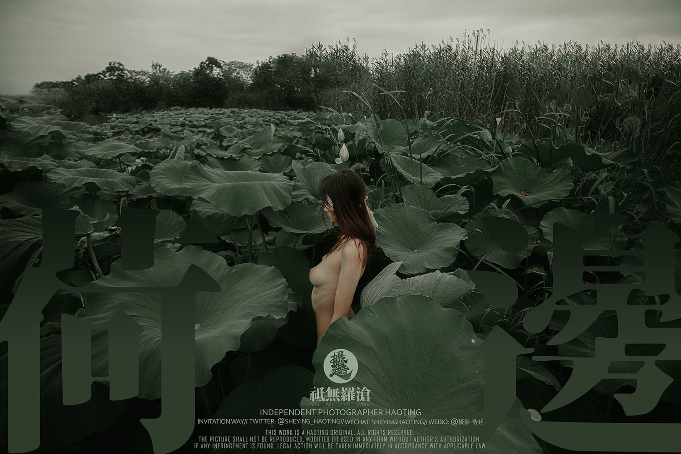 浩廷： sheying_haoting