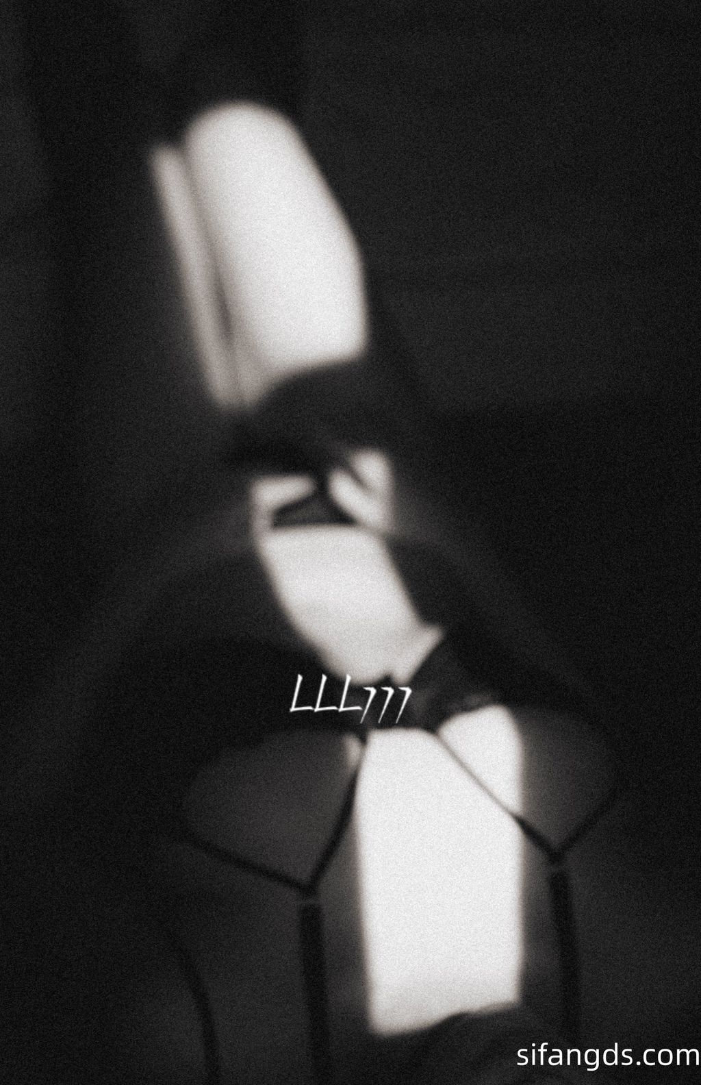 [OtherXXX] LazyLLL777(阿七)： 网红摄影师 全尺度唯美私拍