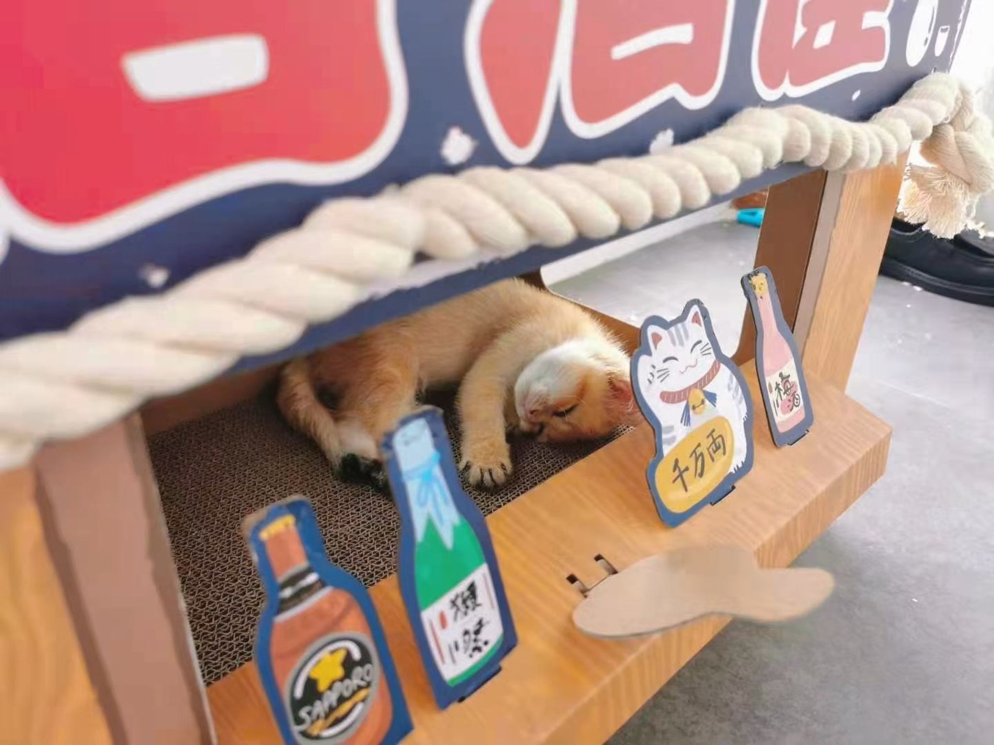 酒月： 极品巨乳 人前露出私拍