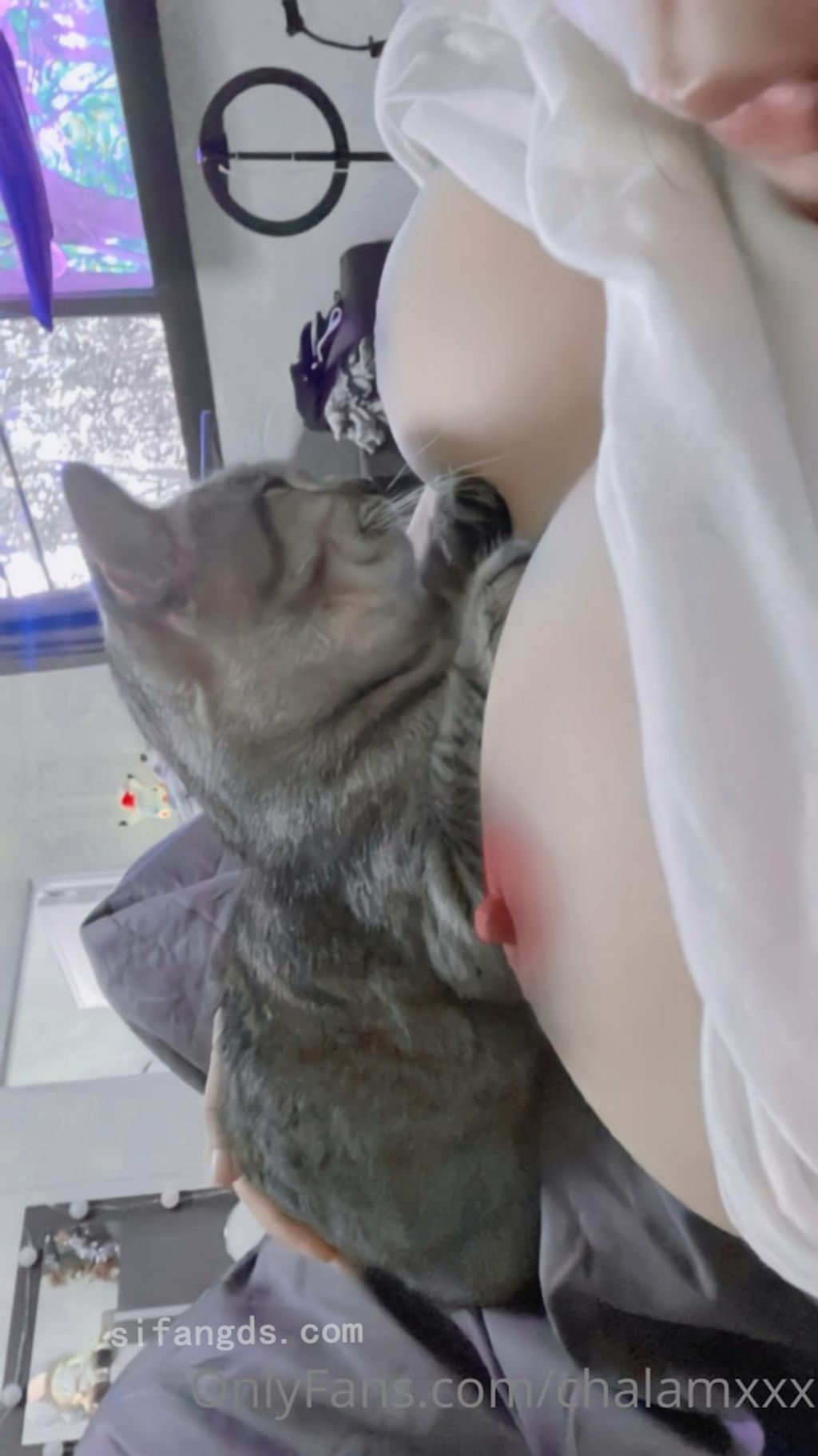 [OtherXXX] Chalamxxx： 巨乳萝莉福利订阅合集