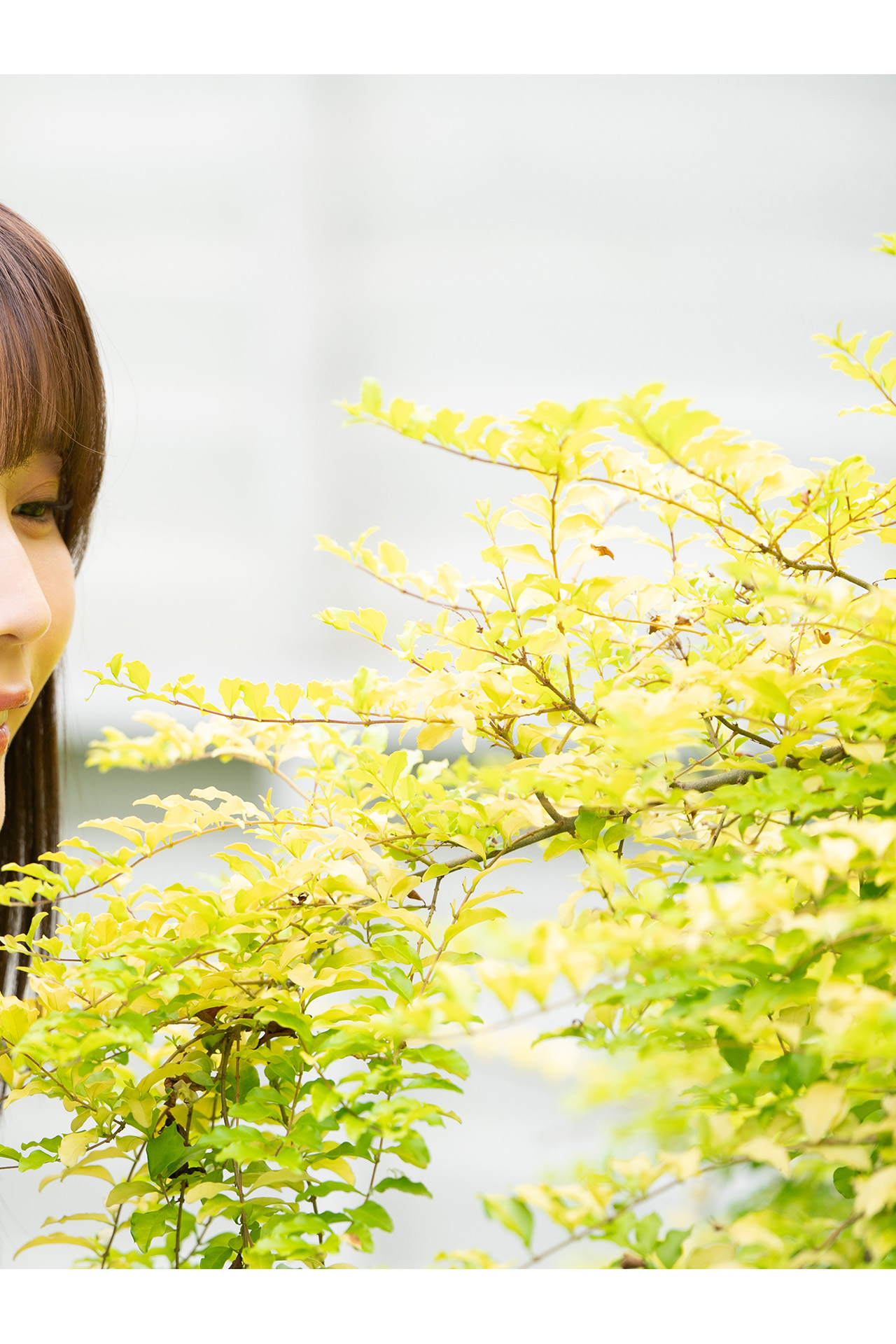 [Photobook] アサ芸Secret！デジタル写真集 小日向ゆかVol.1 圧倒的カノジョ 姉ブレザースペシャル