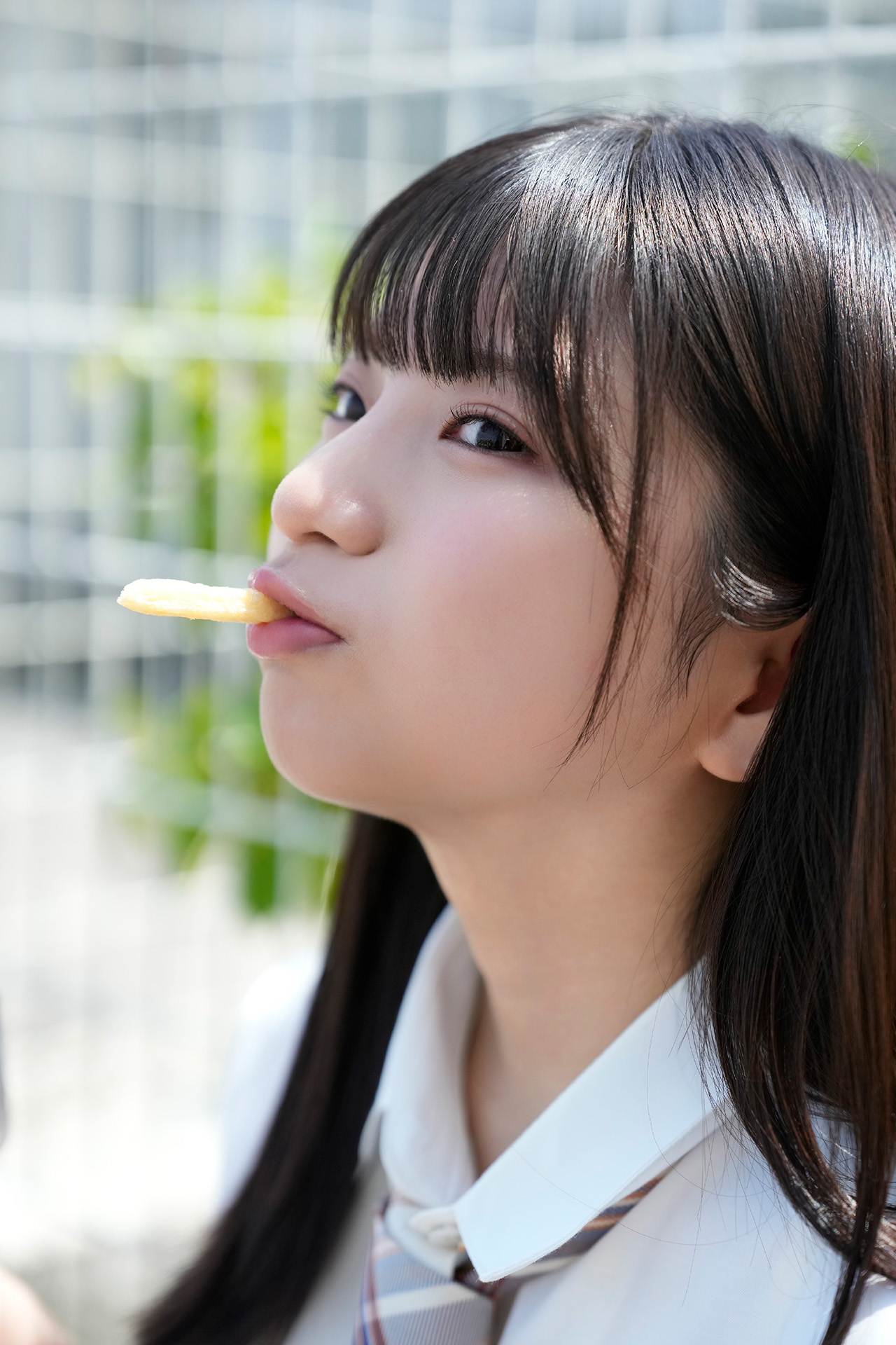 [Photobook] ゼロイチ学園 シーズン2 姫野ひなの