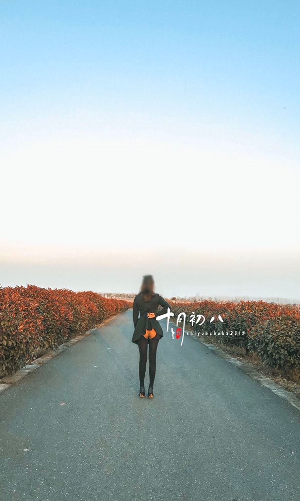 十月初八： 人前露出私拍合集