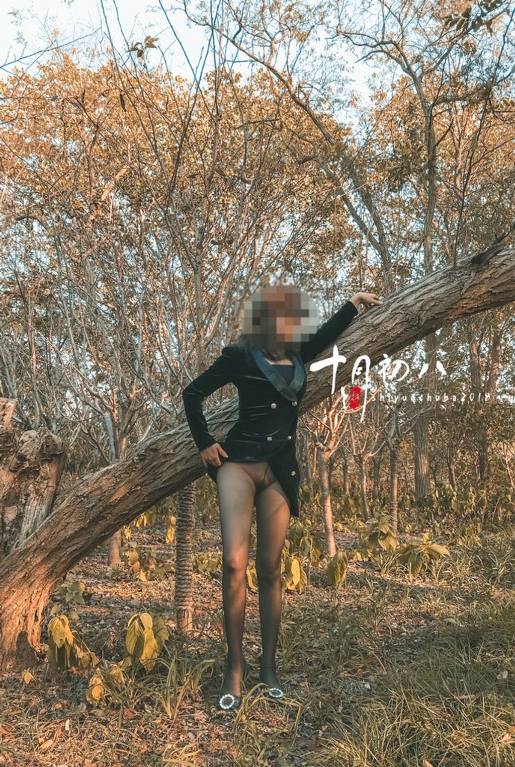 十月初八： 人前露出私拍合集