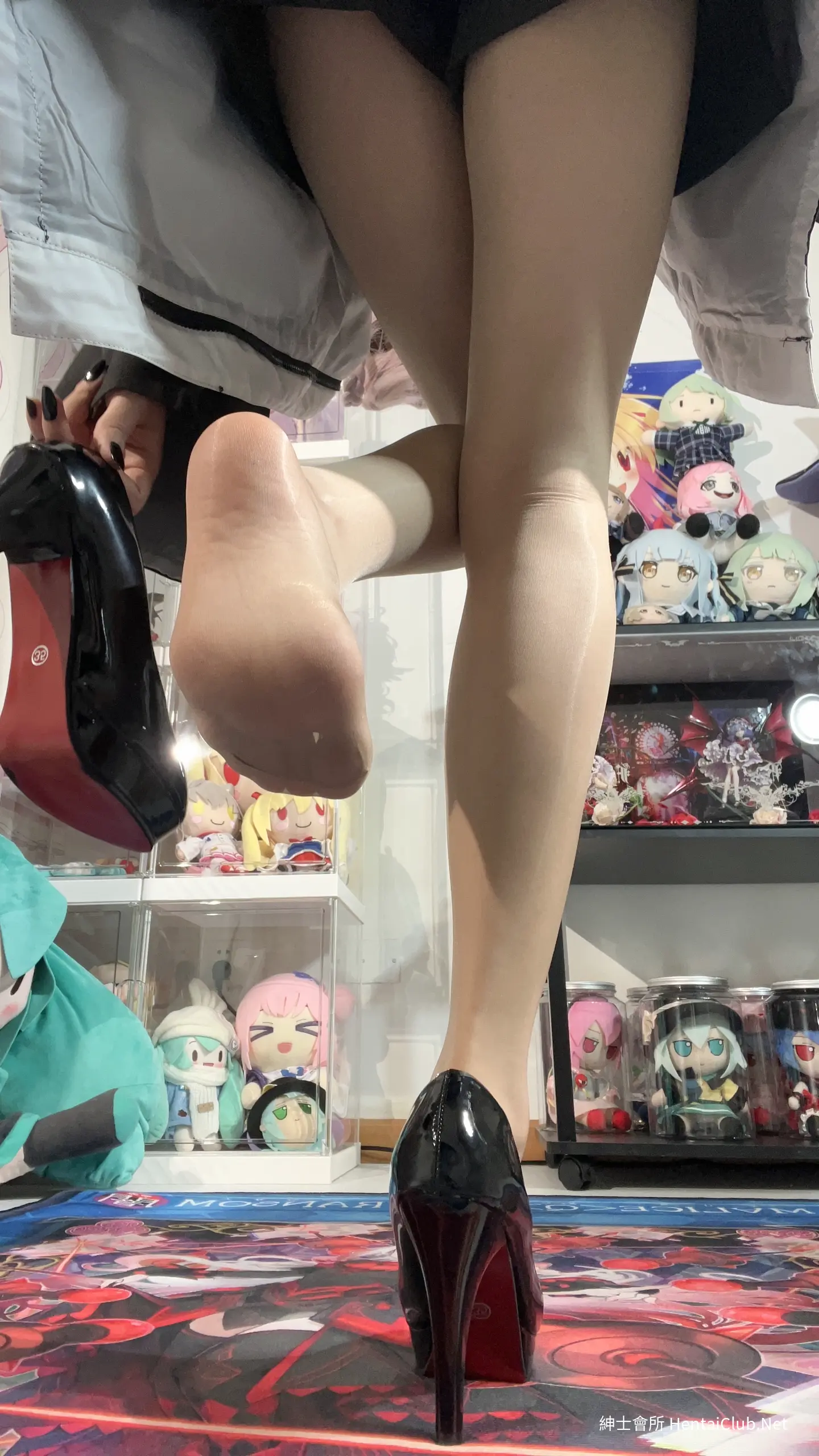 白栎Shirly 彻夜之歌 七草荠 53 白栎Shirly 彻夜之歌 七草荠