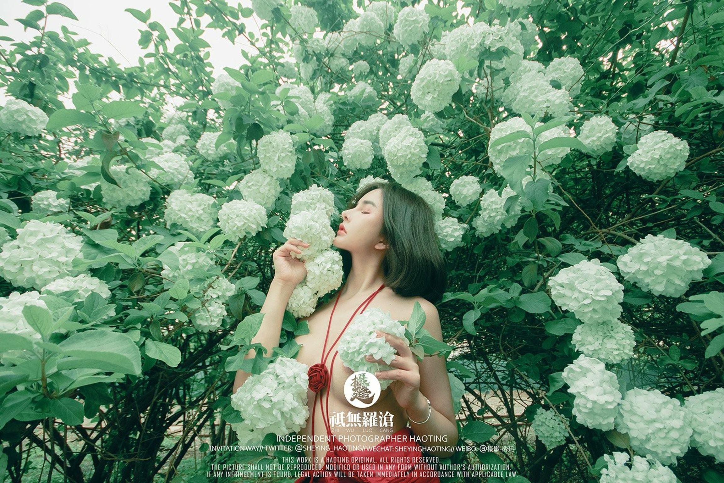 浩廷： sheying_haoting