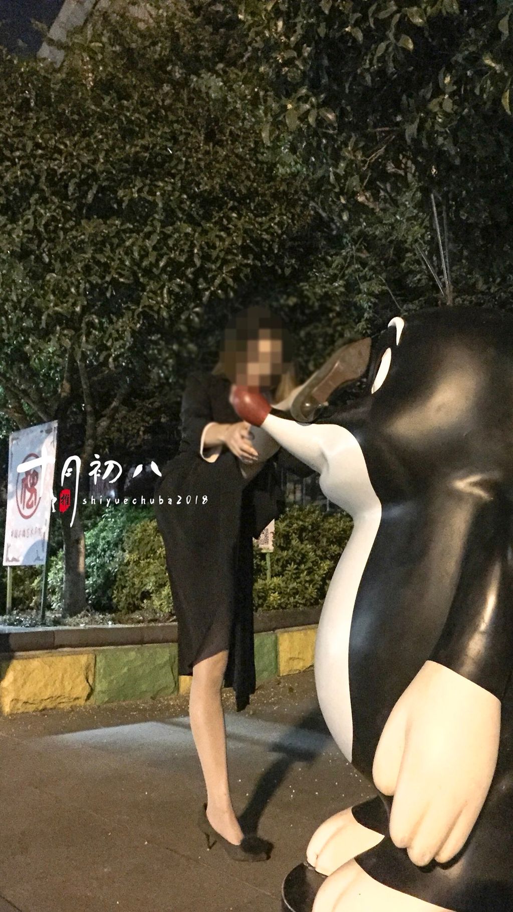 十月初八： 人前露出私拍合集