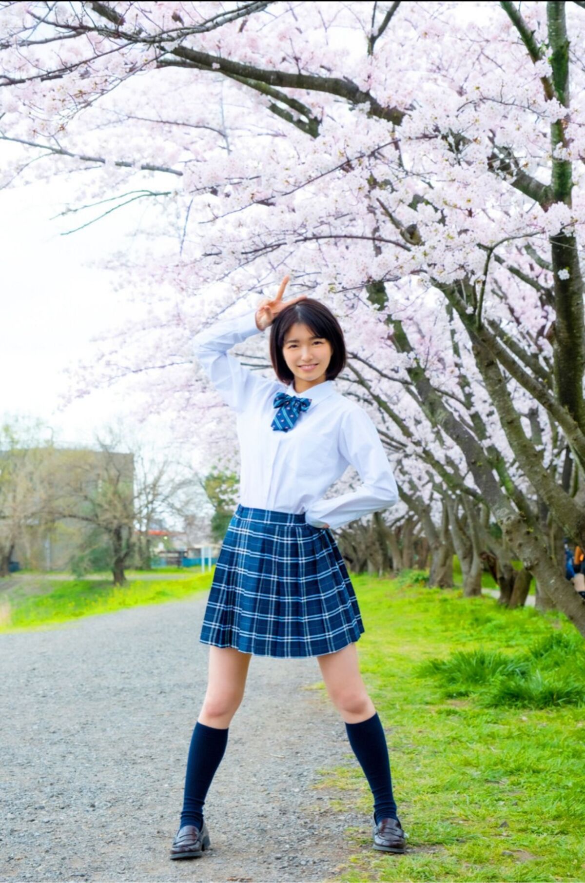 Sumire Kuramoto 倉本すみれ - Youth Aoharu 青春アオハル