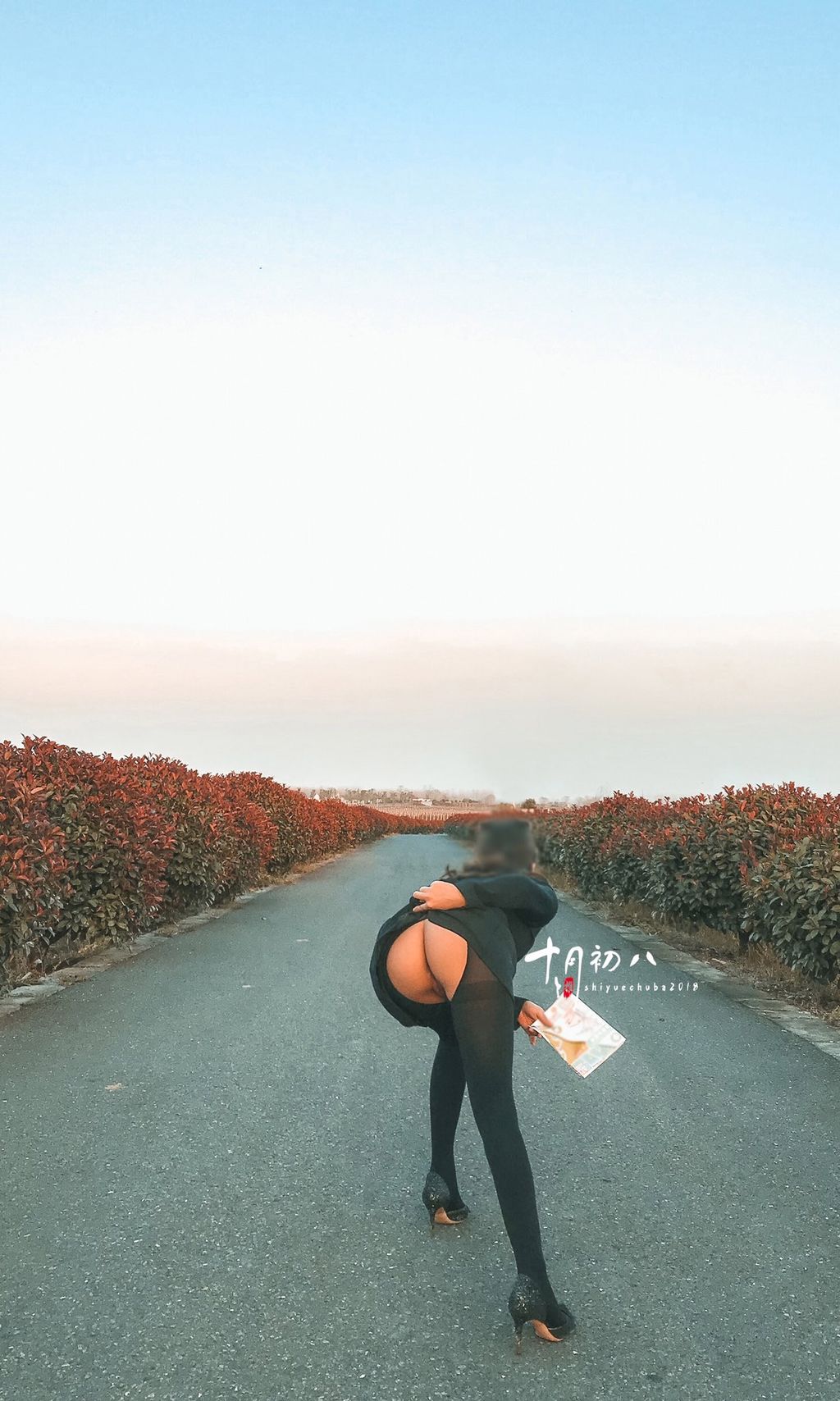 十月初八： 人前露出私拍合集