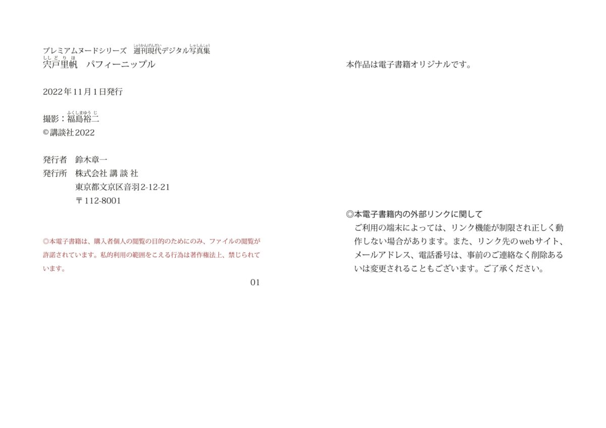 Riho Shishido 宍戸里帆 - 週刊現代デジタル写真集 PN パフィーニップル
