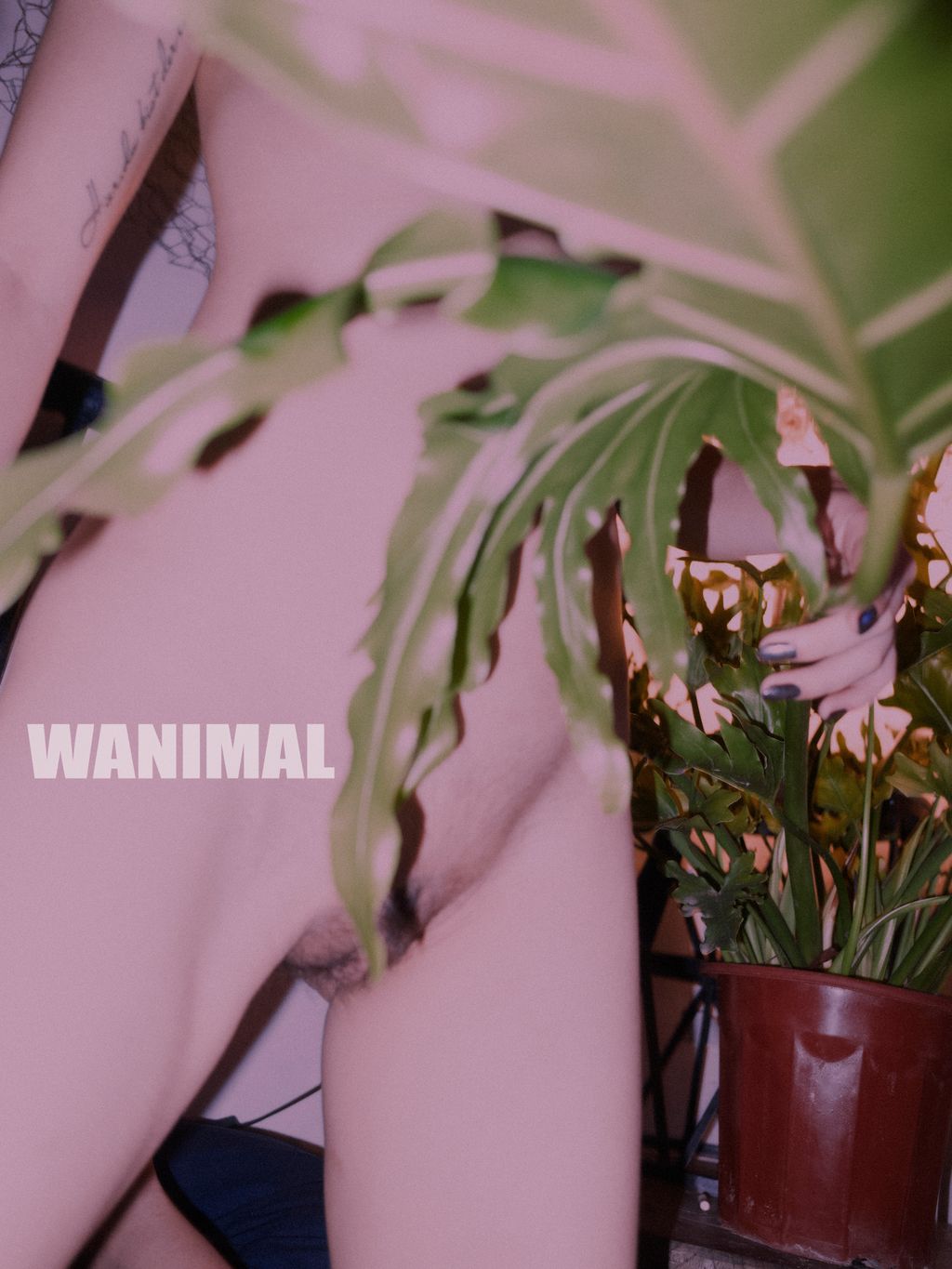 [WANIMAL王动] VIP套图 官方出品 No.01