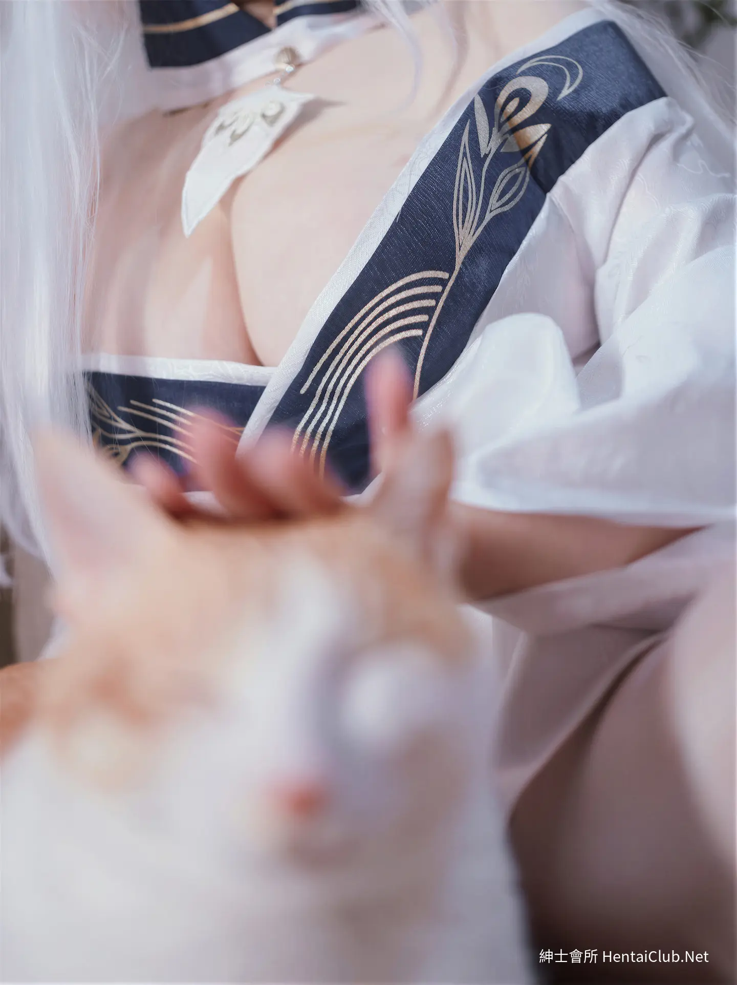 阿半今天很开心 碧蓝航线 白凤 和服 32 阿半今天很开心 碧蓝航线 白凤 和服