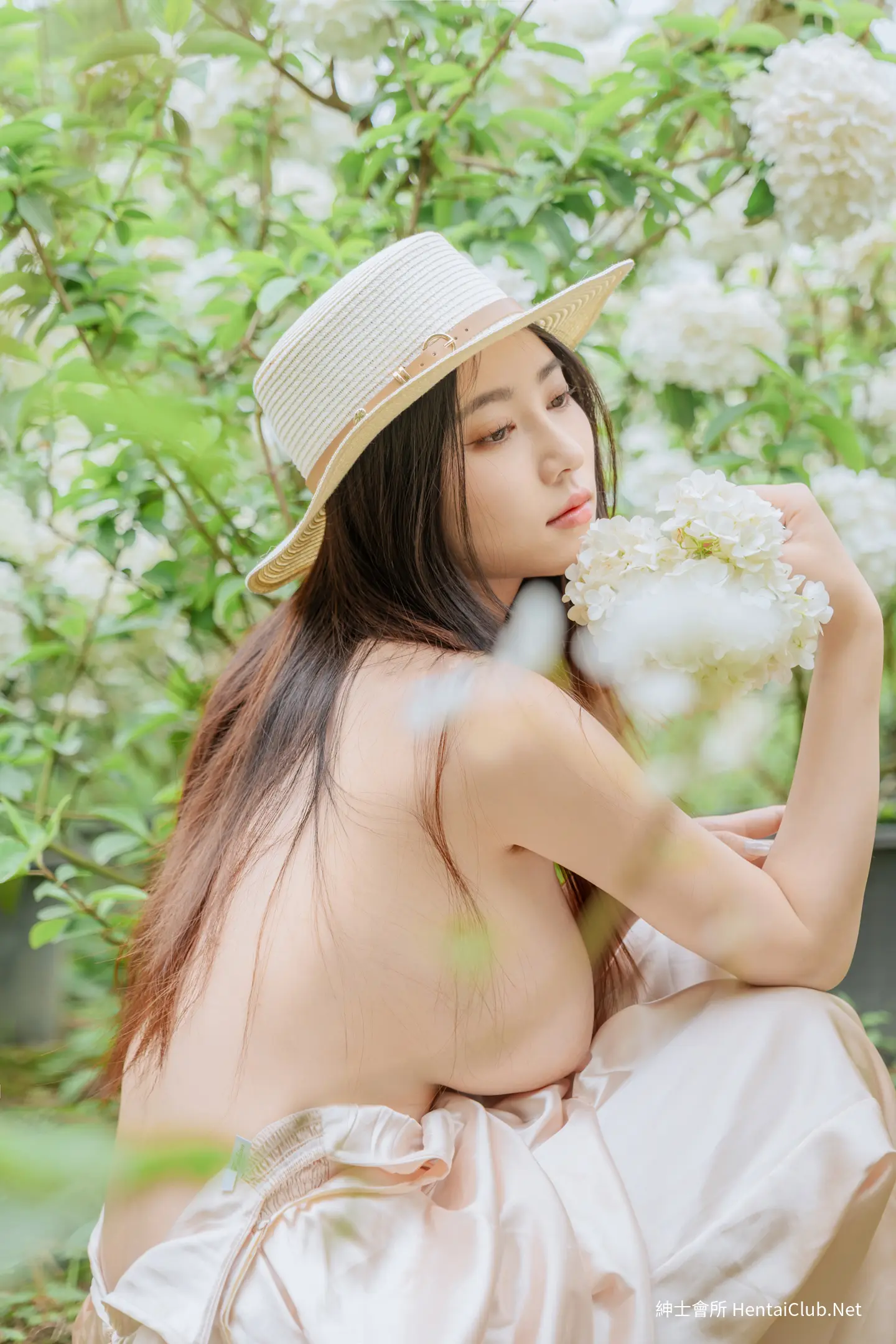 年年 木绣球 47 年年 木绣球
