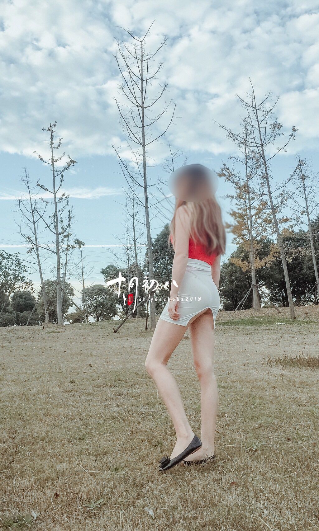 十月初八： 人前露出私拍合集