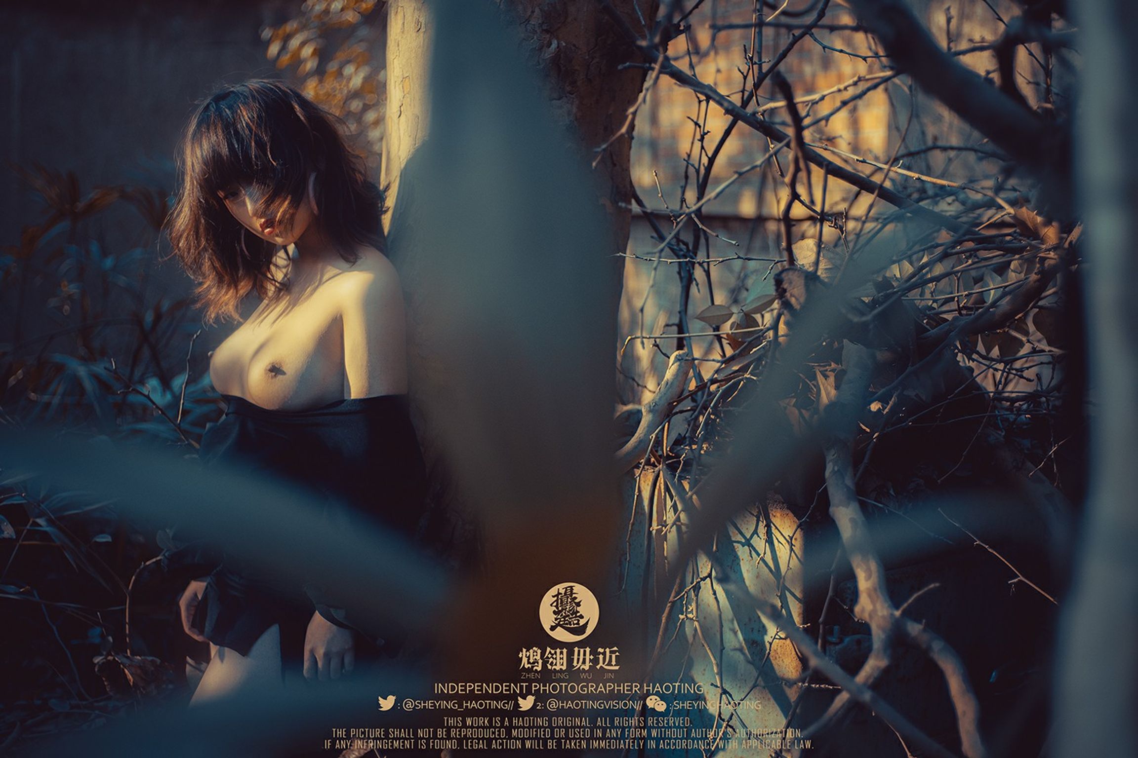 浩廷： sheying_haoting