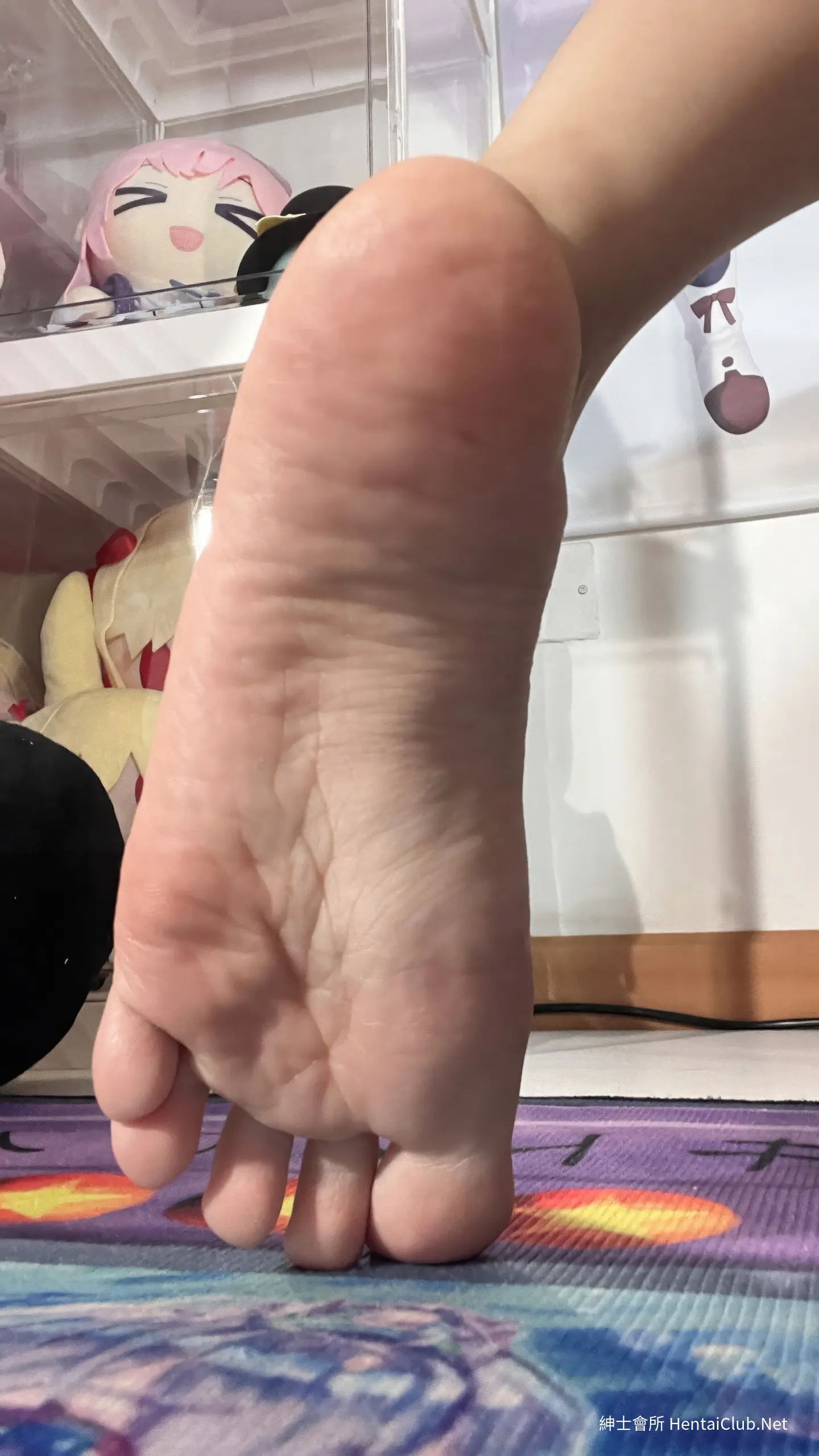 白栎Shirly 布兰儿 白兔幸运列车 57 白栎Shirly 布兰儿 白兔幸运列车