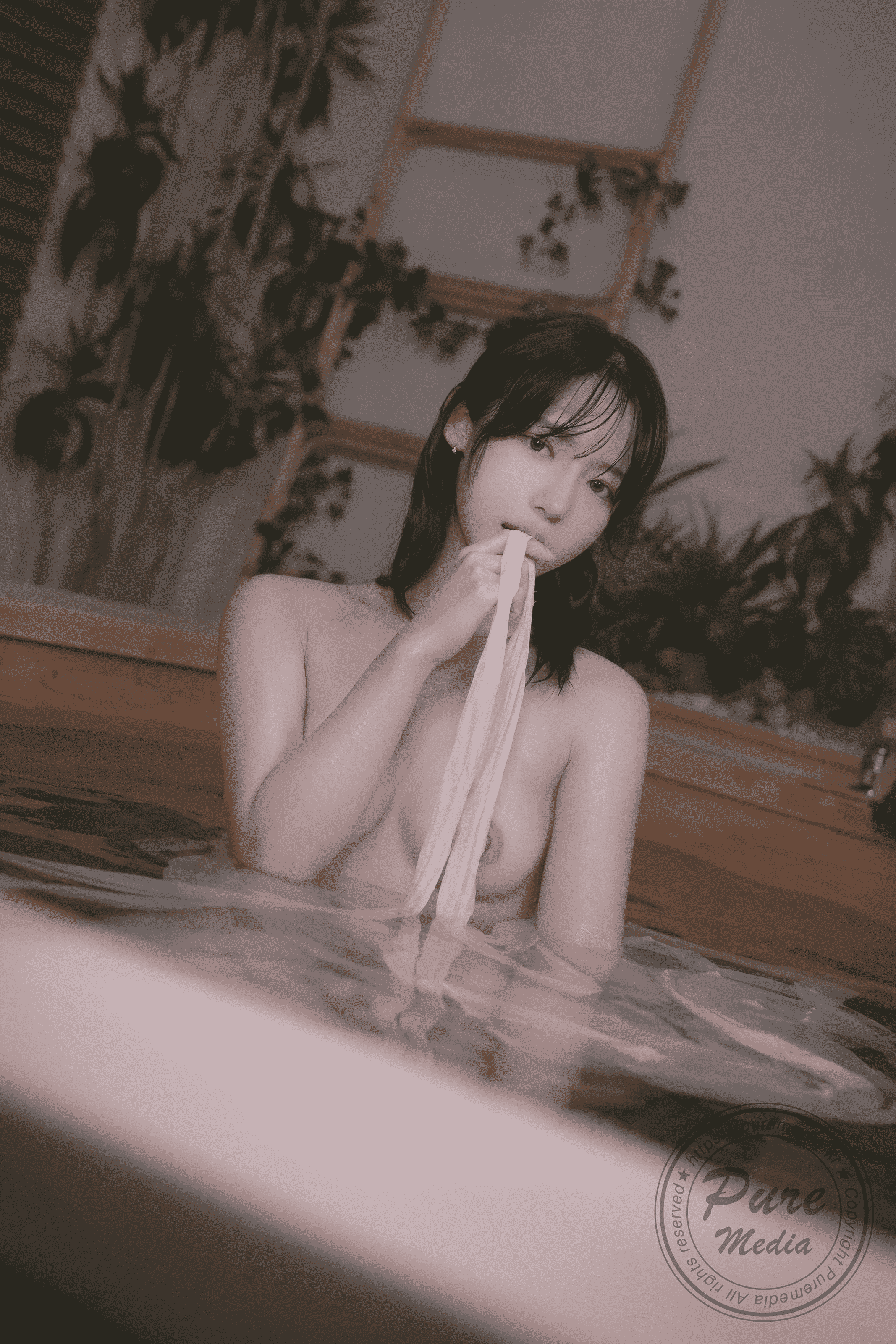 Pure Media Vol.315 Yeha 예하 4K