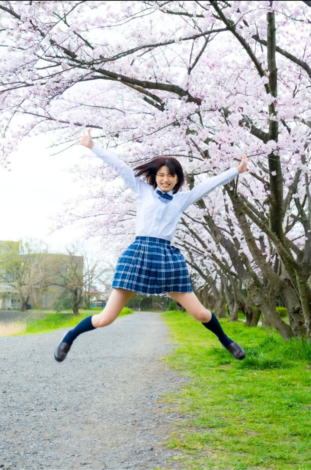 Sumire Kuramoto 倉本すみれ - Youth Aoharu 青春アオハル