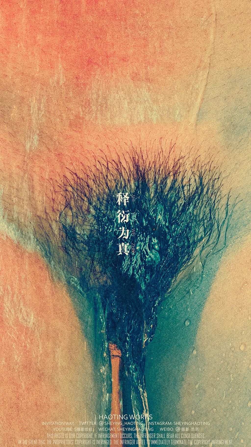 浩廷： sheying_haoting