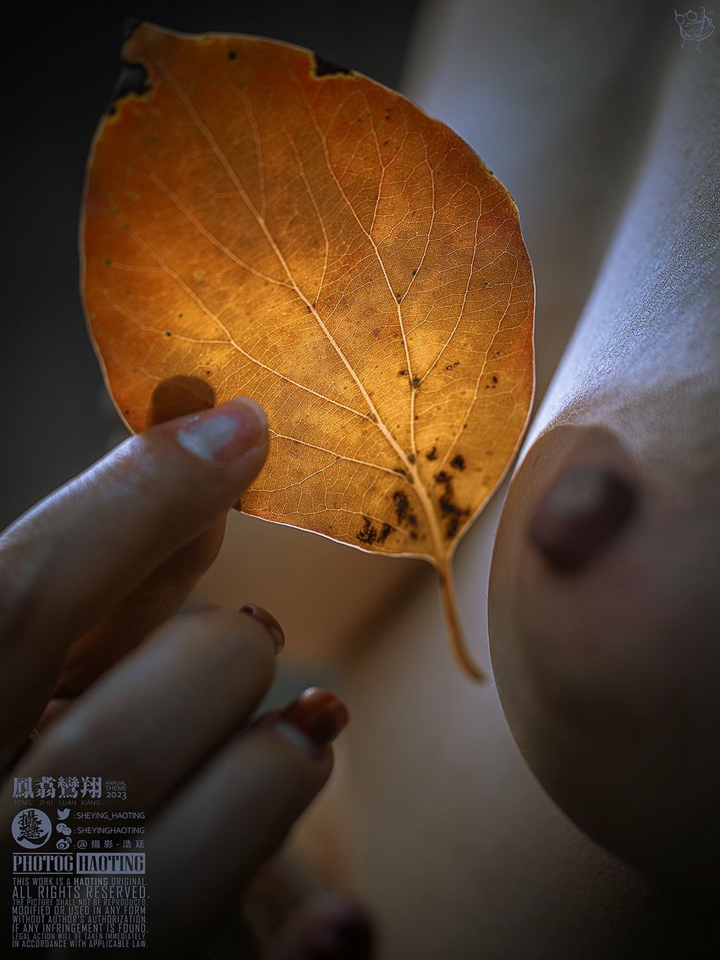 浩廷： sheying_haoting