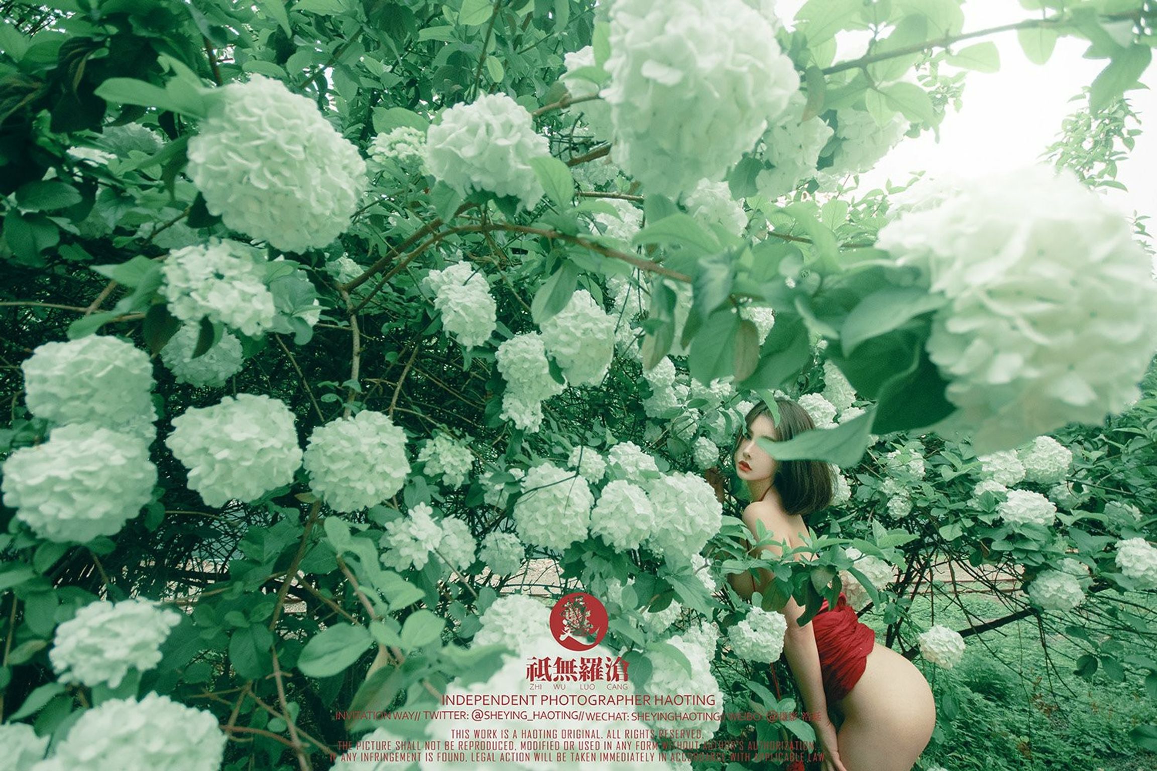 浩廷： sheying_haoting