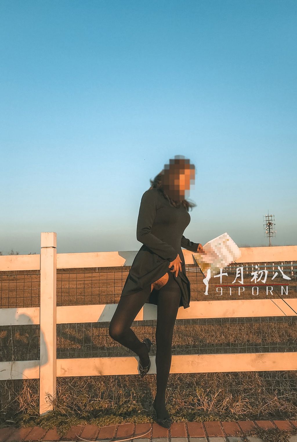 十月初八： 人前露出私拍合集