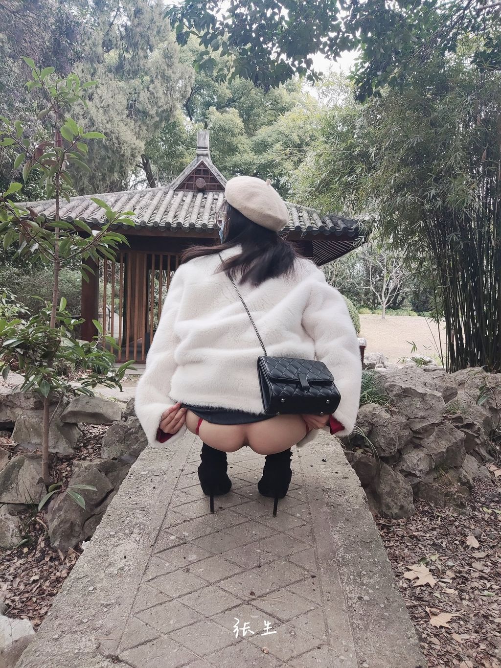 [OtherXXX] 张生： 淫妻大神分享娇妻 塞着跳蛋逛公园