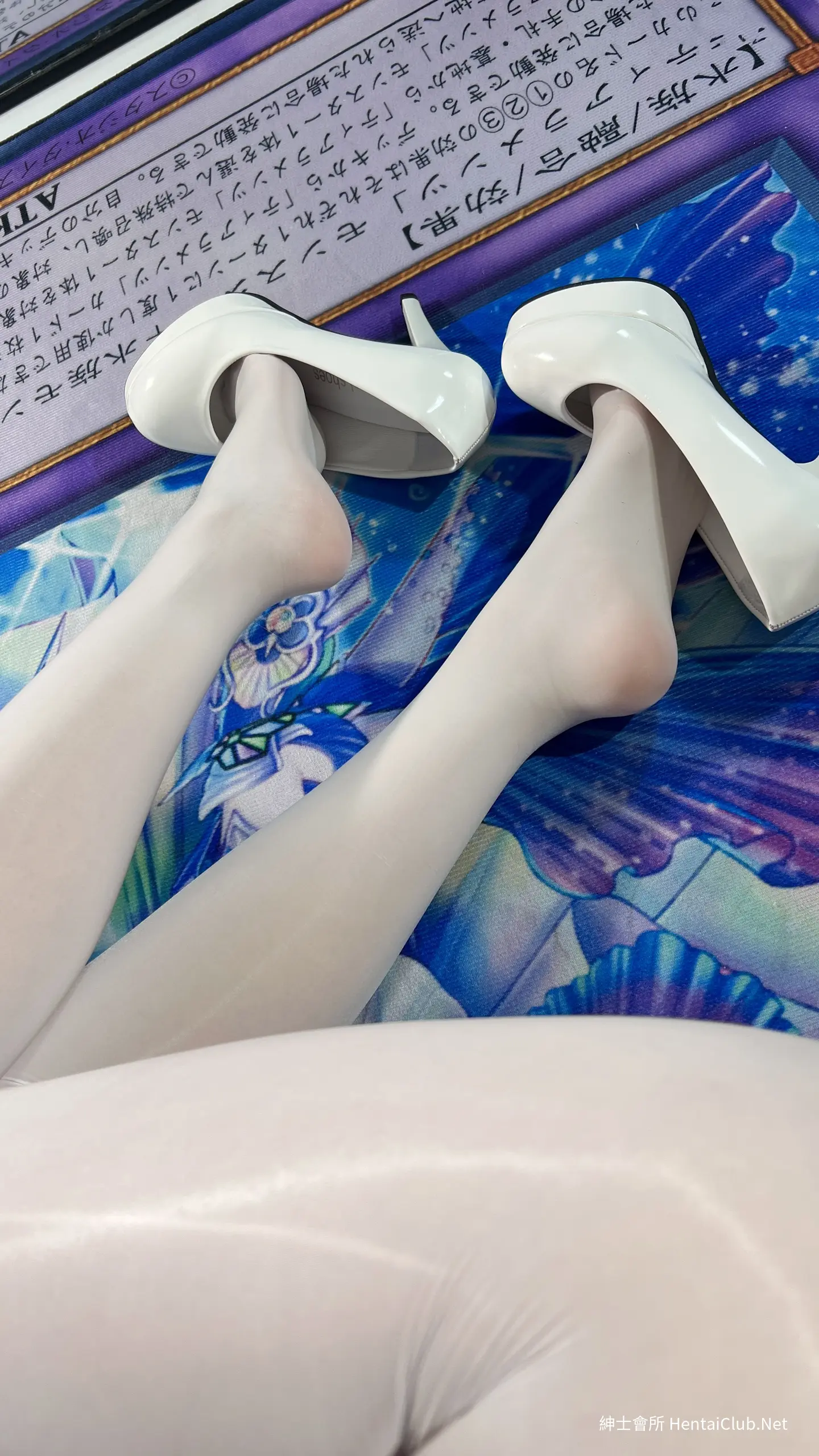 白栎Shirly 碧蓝档案 飞鸟马时 兔女郎 113 白栎Shirly 碧蓝档案 飞鸟马时 兔女郎