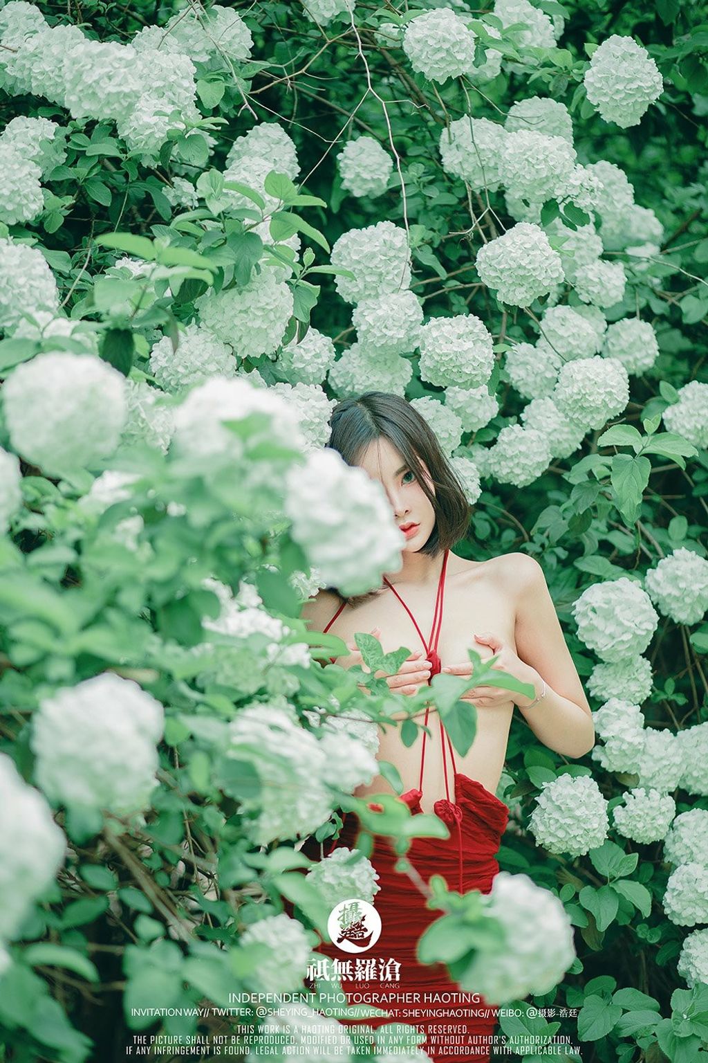 浩廷： sheying_haoting