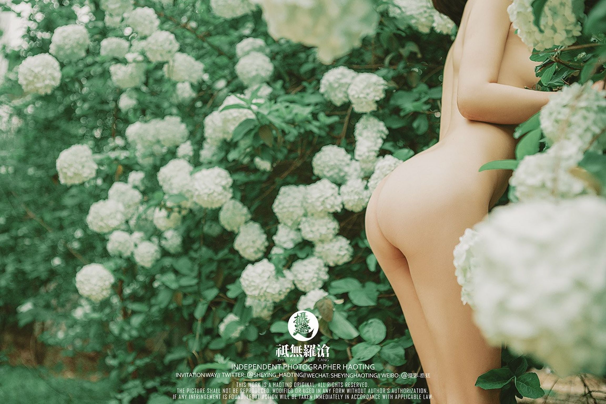 浩廷： sheying_haoting