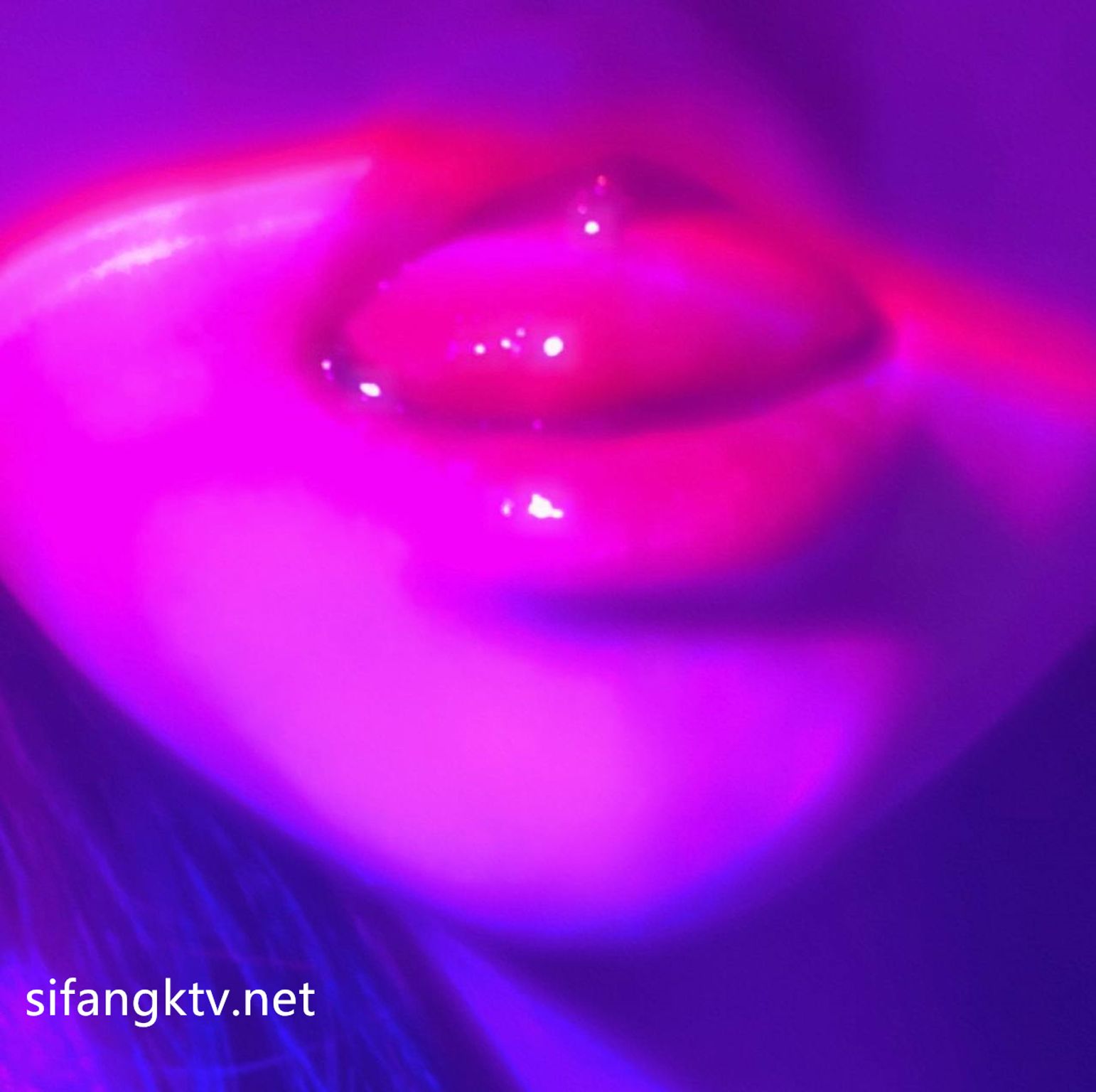 [OtherXXX] Mico板烧鸭鸭： X高价福利视频写真