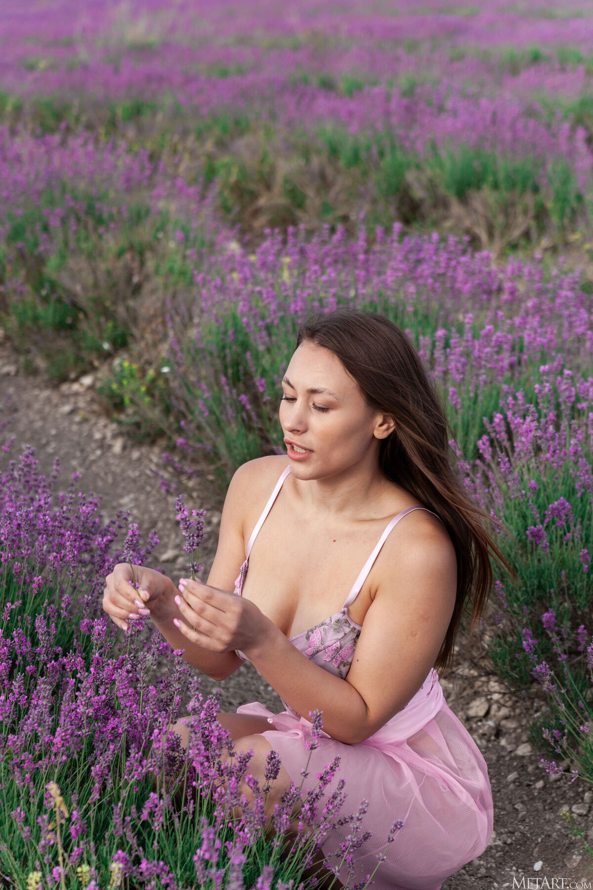MetArt Sumiko - Lavender Fields Part01 49 MetArt Sumiko - Lavender Fields Part01